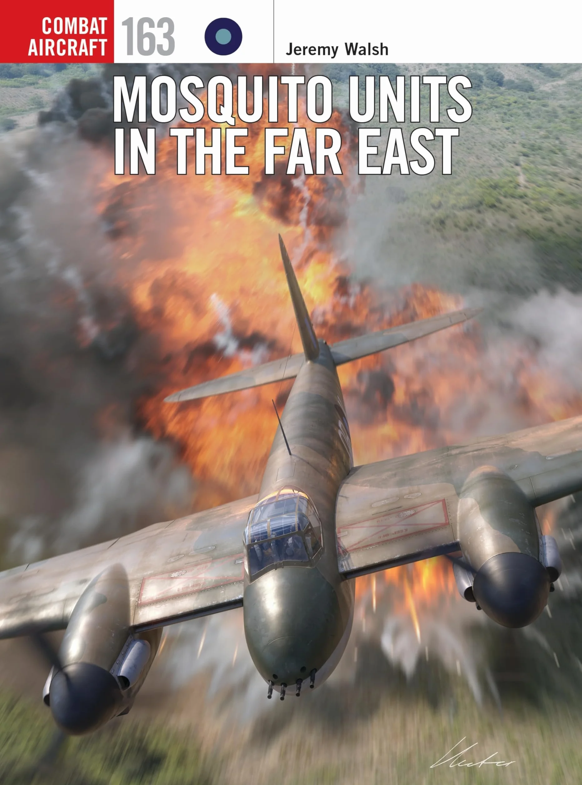 Mosquito Units in the Far East: 163