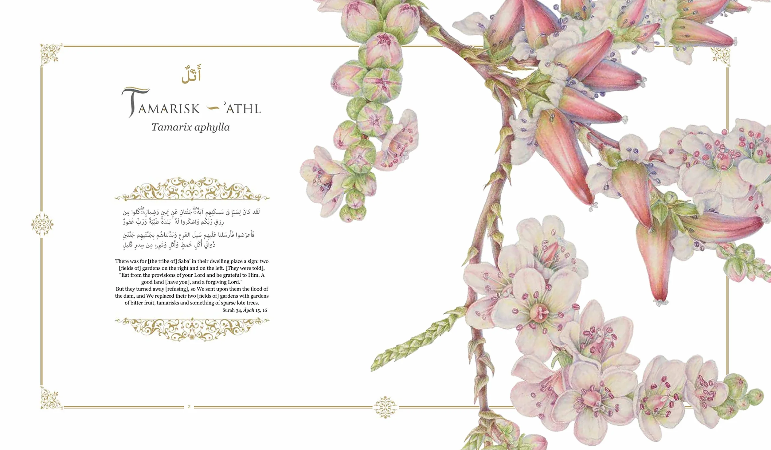 Plants of the Quran: History & Culture