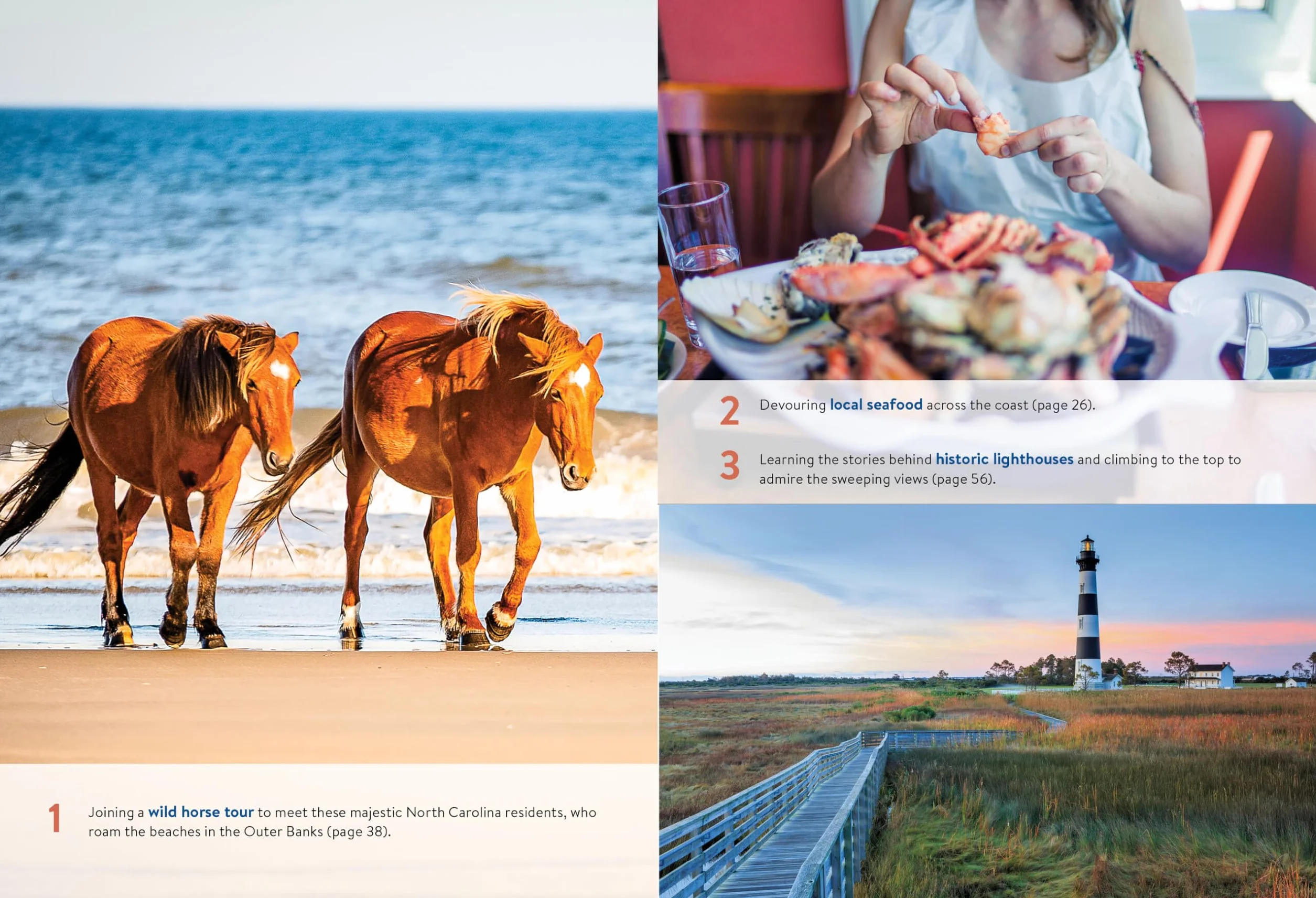 Moon North Carolina Coast: With the Outer Banks: Best Beaches, Kayaking & Sailing, Weekend Getaways
