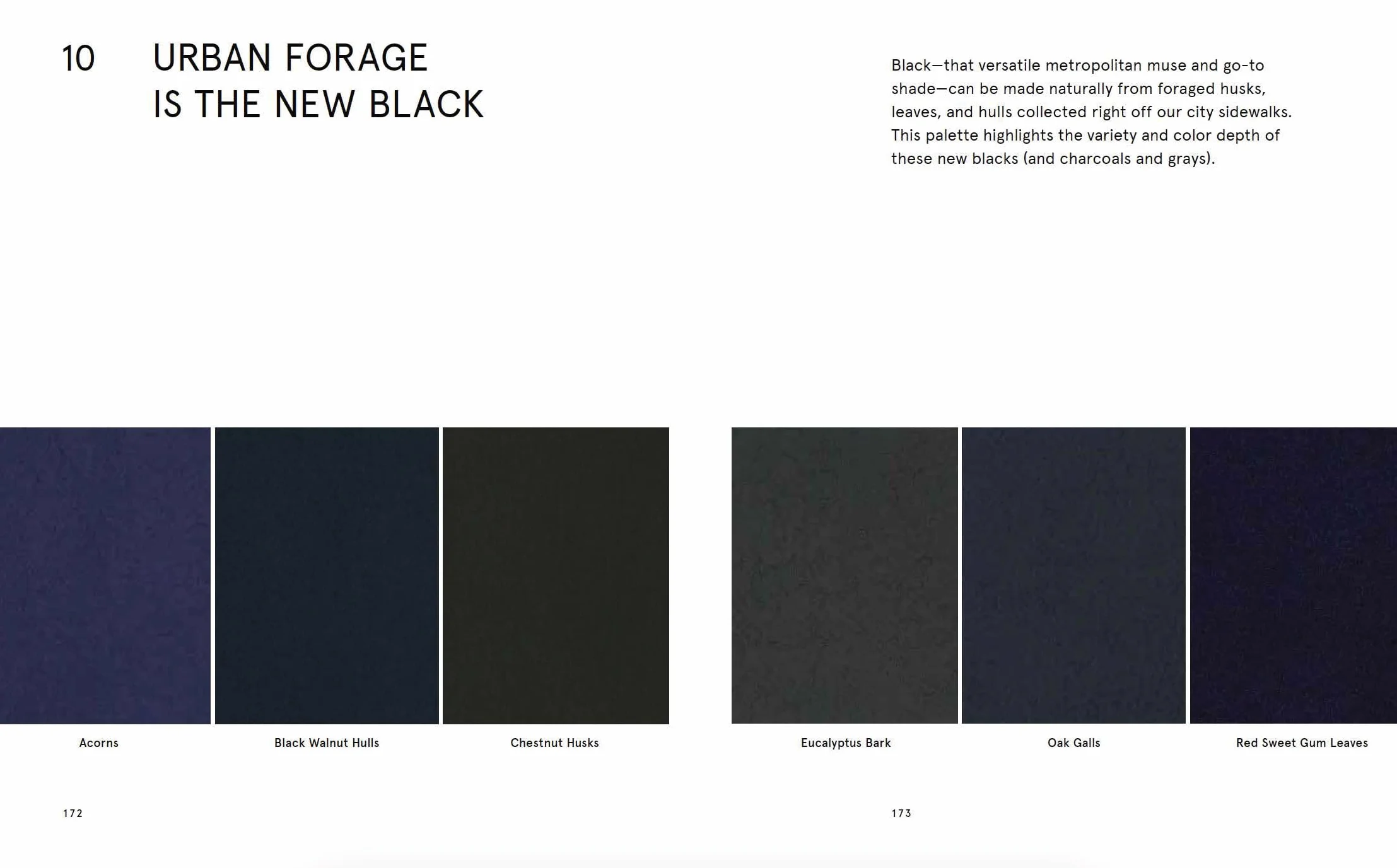 Natural Palettes: Inspiration from Plant-Based Color