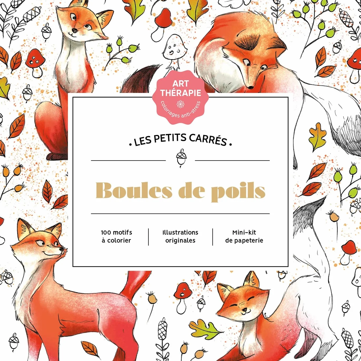Art-thérapie Les petits carrés Boules de poils