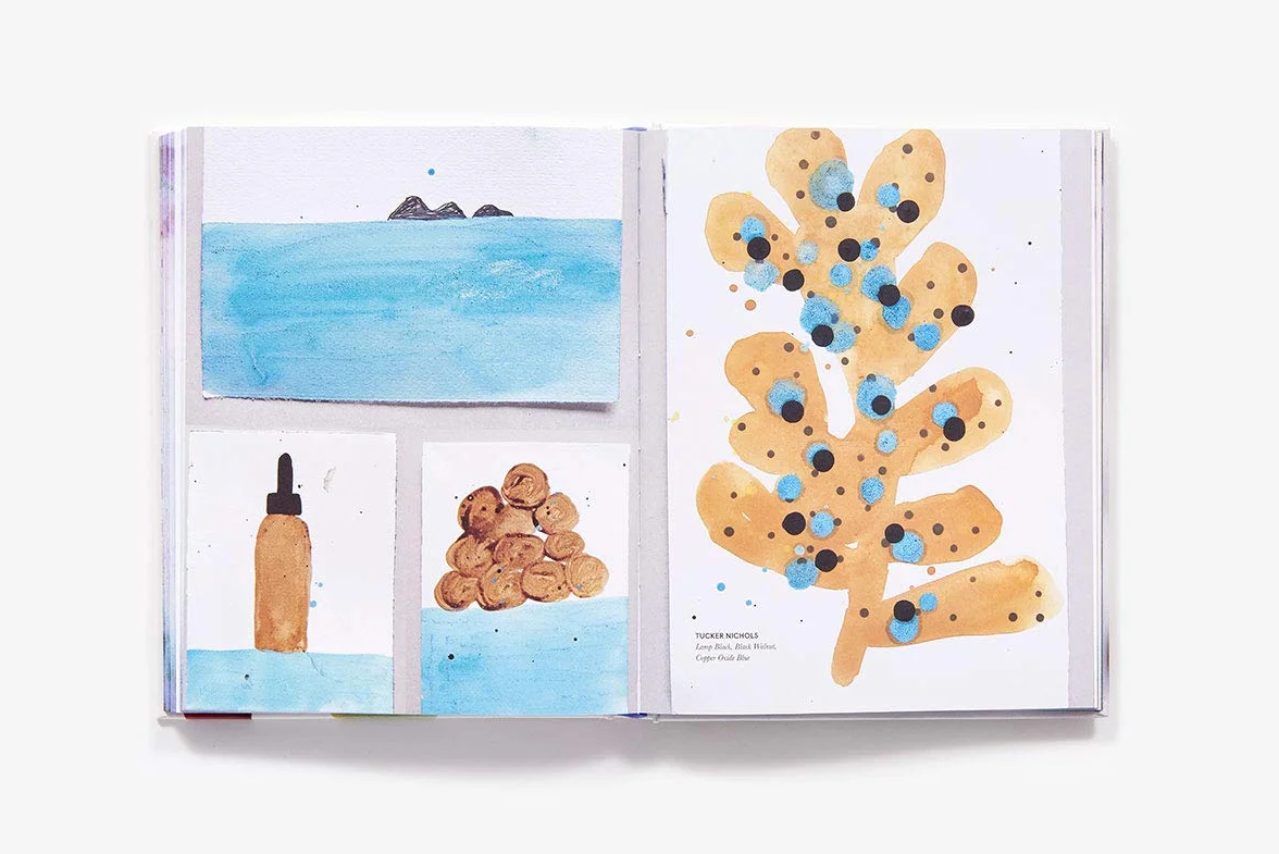 Make Ink: A Forager's Guide to Natural Inkmaking