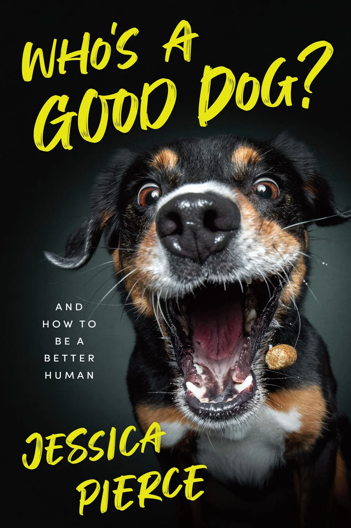 Who's a Good Dog?: And How to Be a Better Human