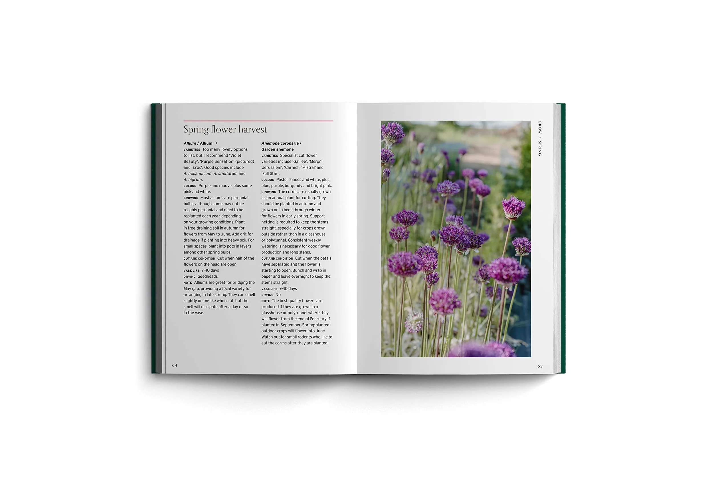 Cut Flowers (Bloom's Gardener Guide) /anglais: Bloom Gardener's Guide: Prepare the Ground, Sow Seed, Nurture, Harvest, Fill Your Vases: 3