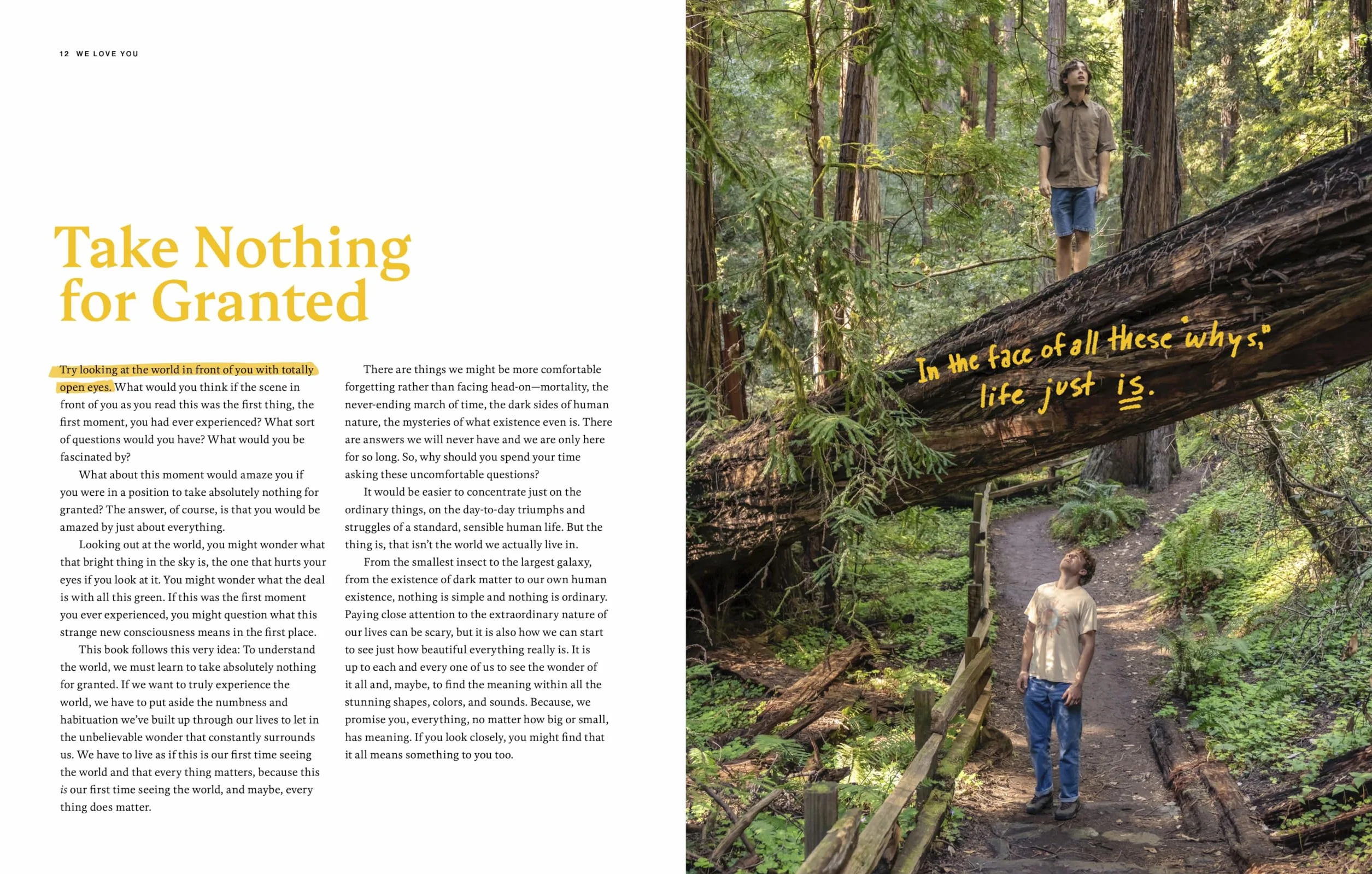 We Love You: An Optimistic Guide to Life on a Rock Floating Through Space