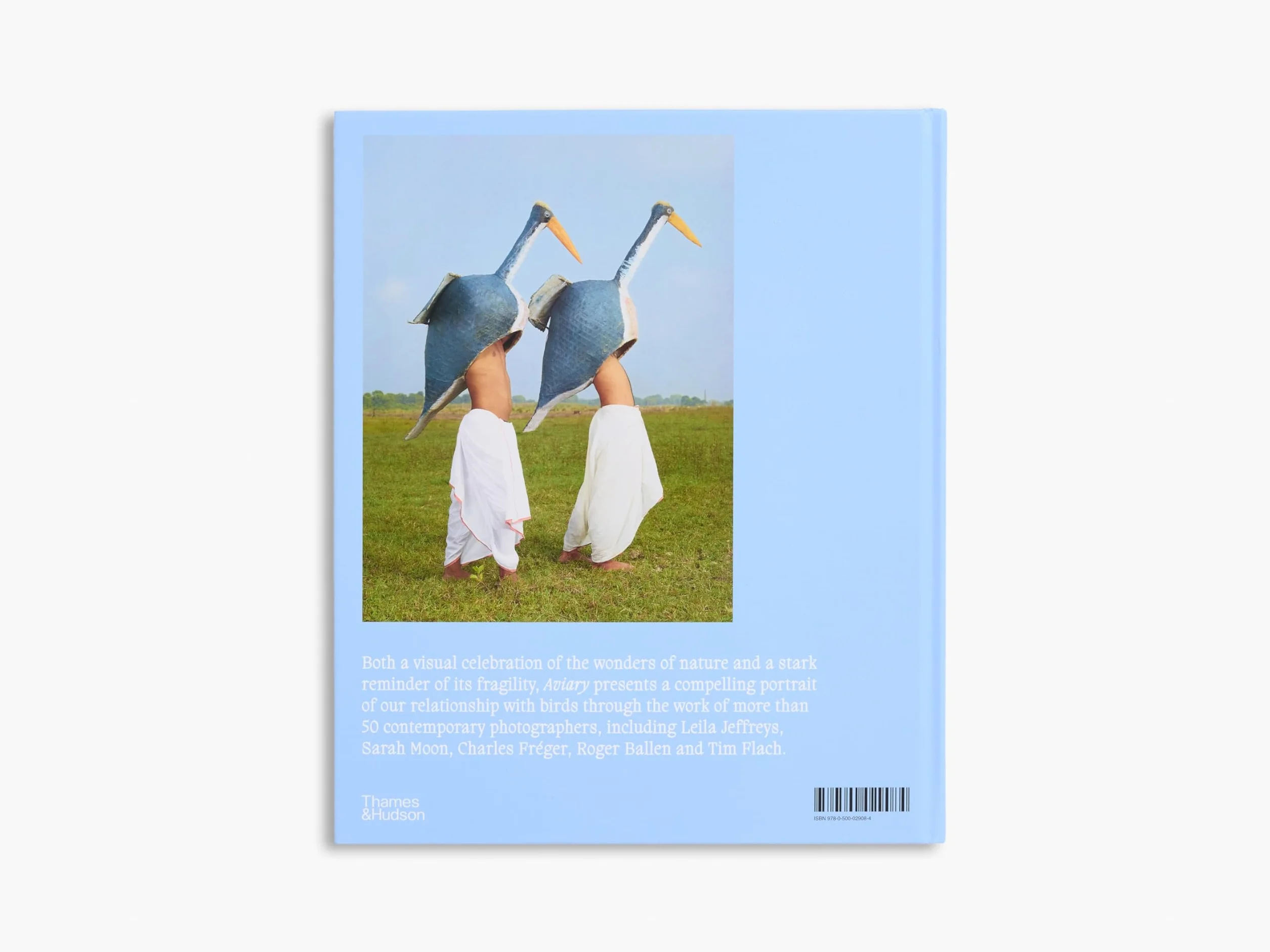 Aviary The Bird in Contemporary Photography /anglais