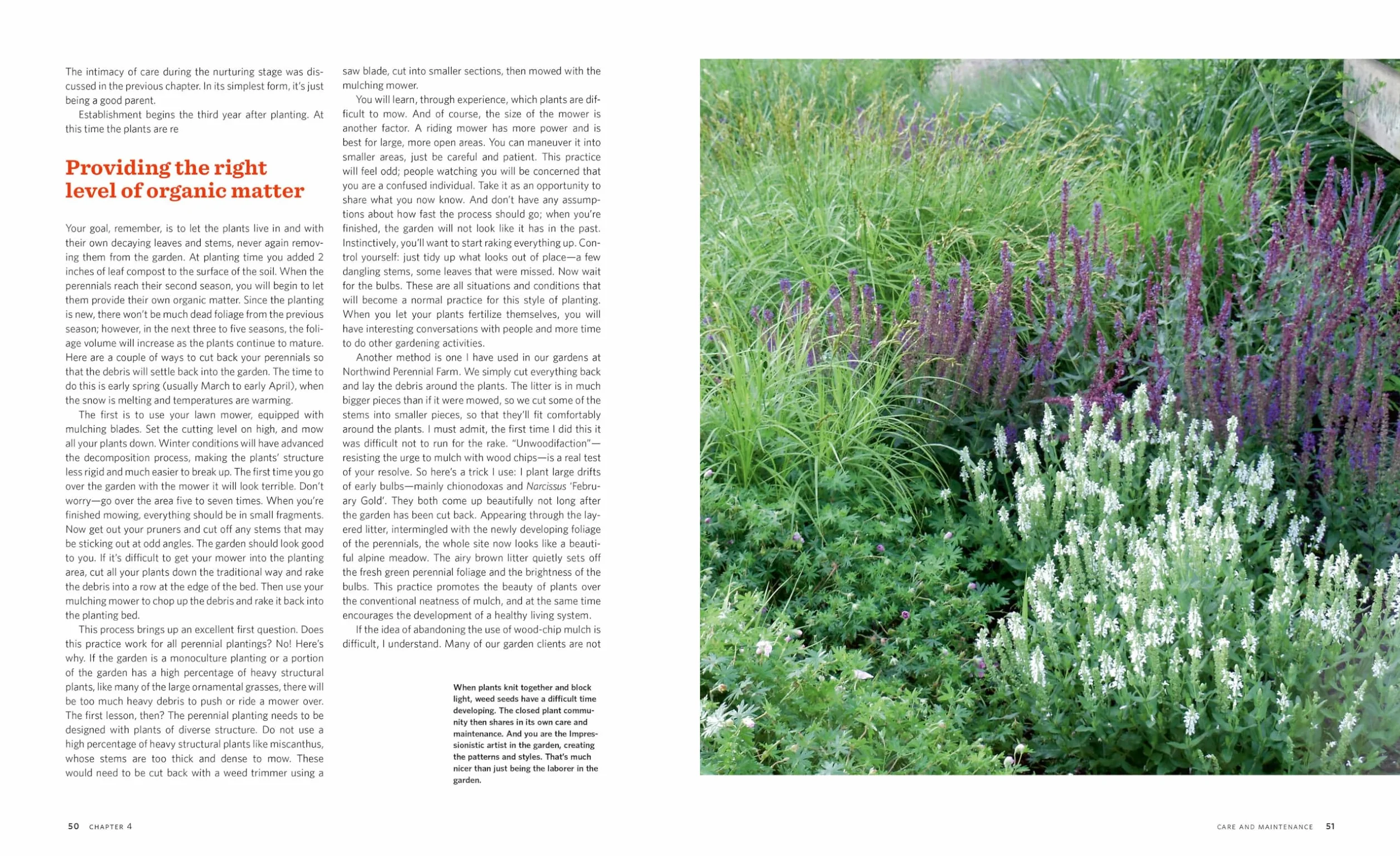 The Know Maintenance Perennial Garden