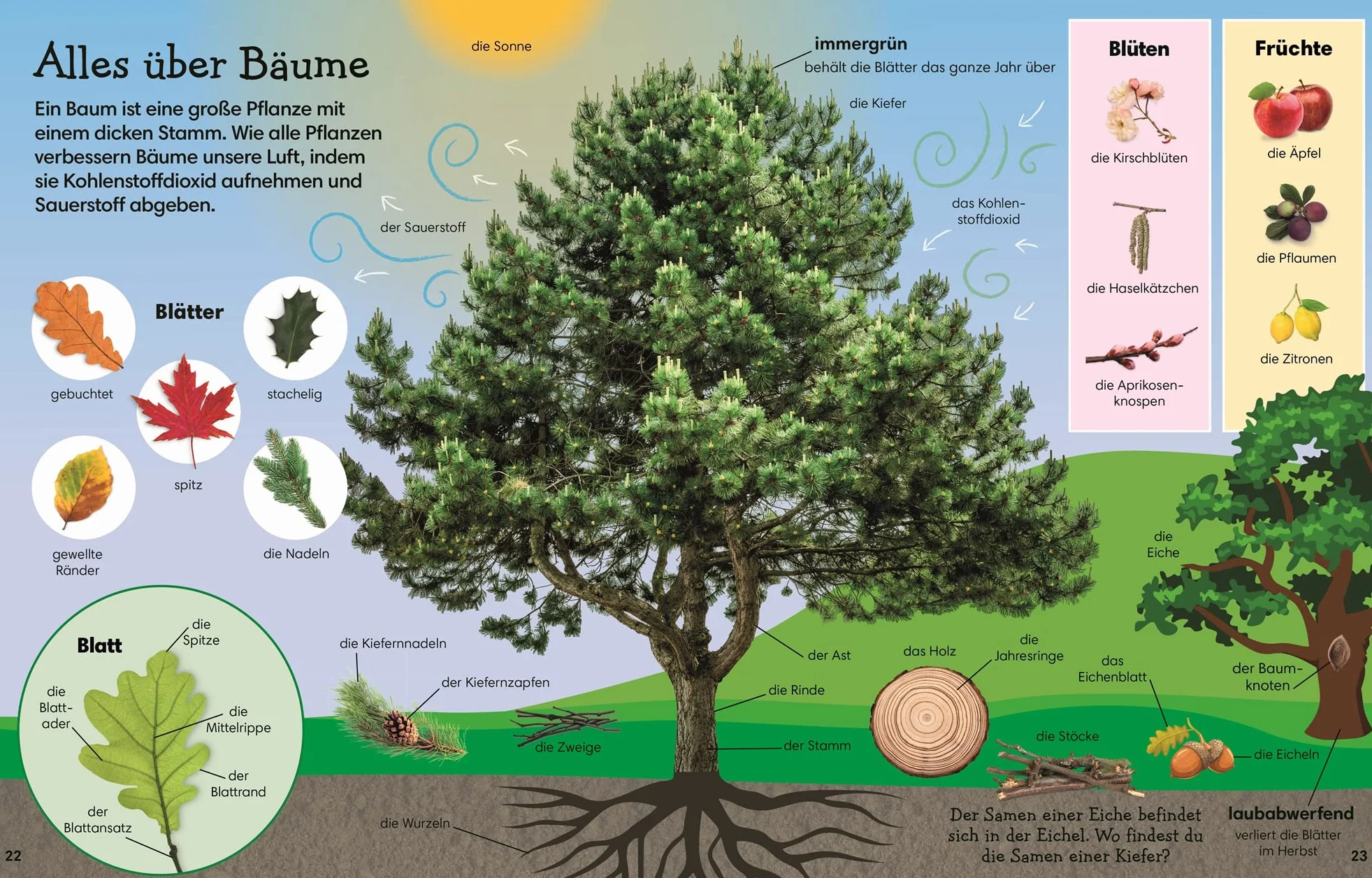 1000 erste Wörter. Natur: Mein Bildwörterbuch für den Kindergarten. Erster Wortschatz rund um das Thema Natur. Zur spielerischen Sprachförderung. Für Kinder ab 3 Jahren