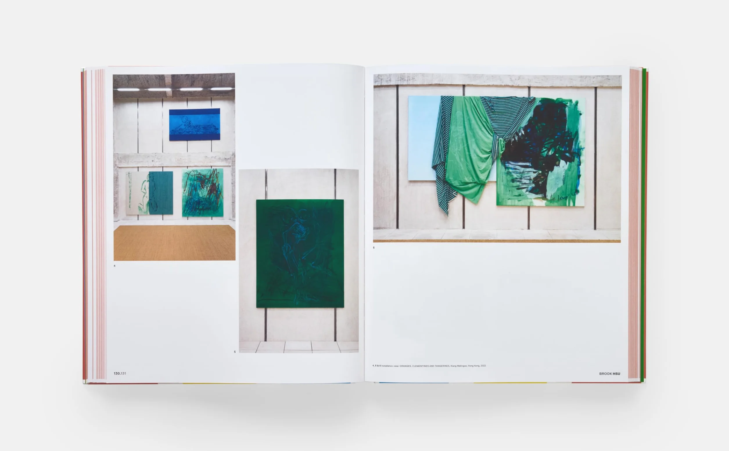 Vitamin P4: New perspectives in painting
