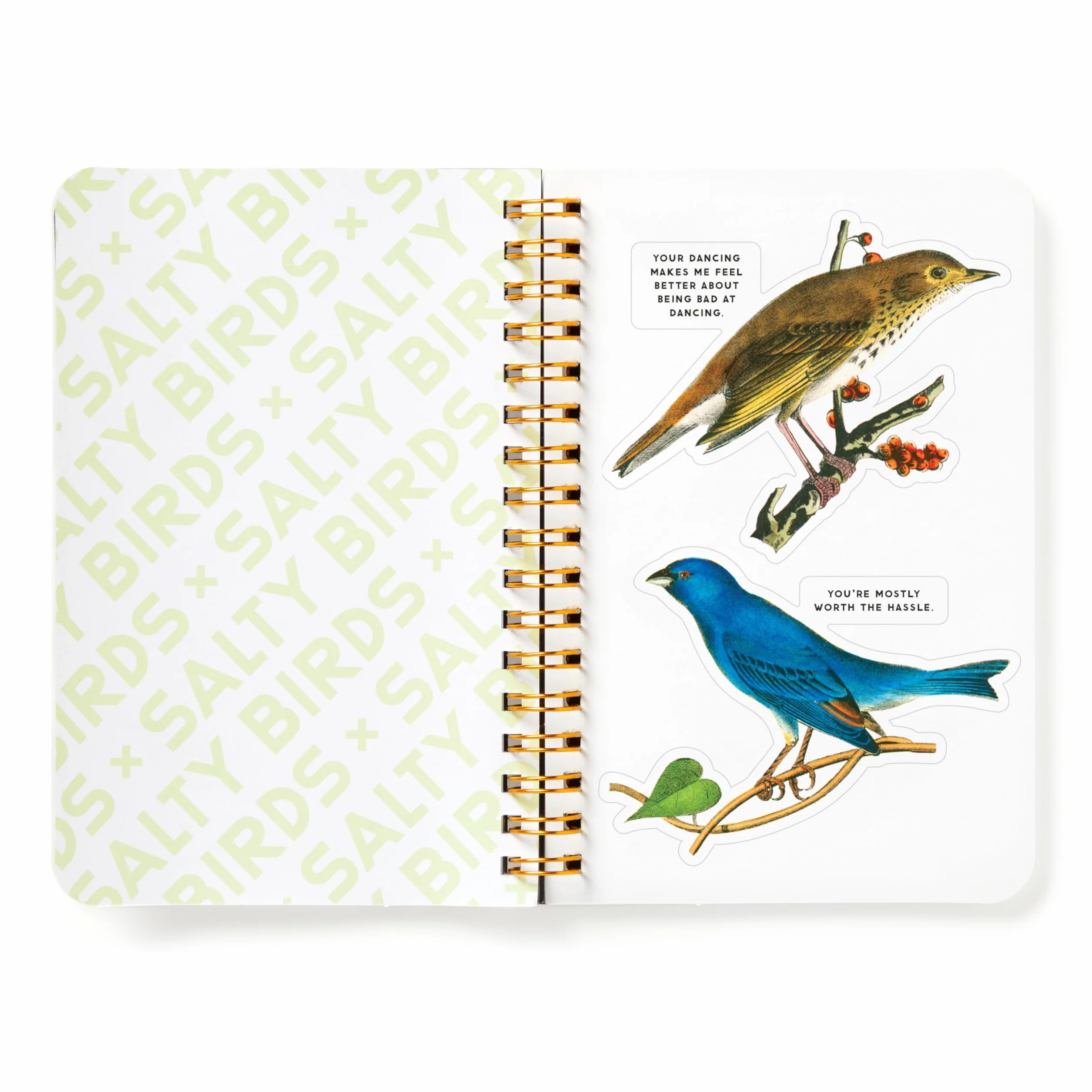 Salty Birds Sticker Book