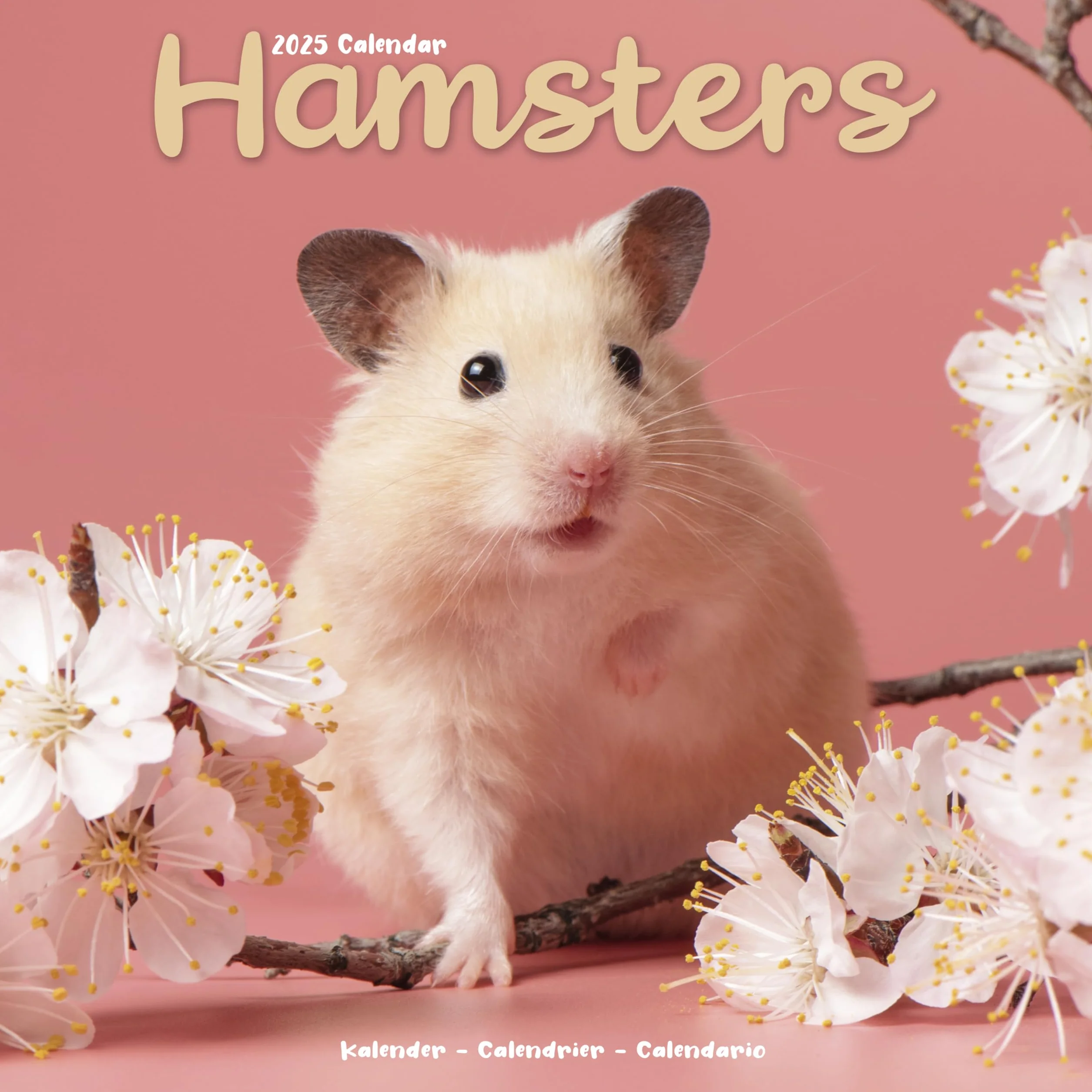 Hamsters Calendar 2025 Square Animal Wall Calendar - 16 Month: Original Avonside-Kalender [Mehrsprachig] [Kalender]