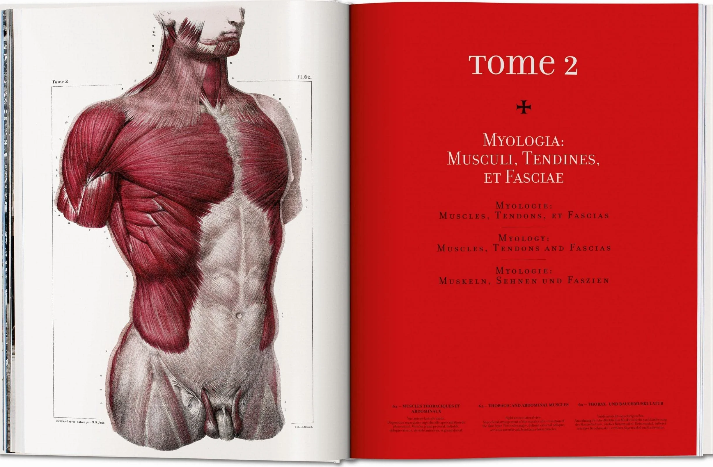 Bourgery. Atlas of Human Anatomy and Surgery