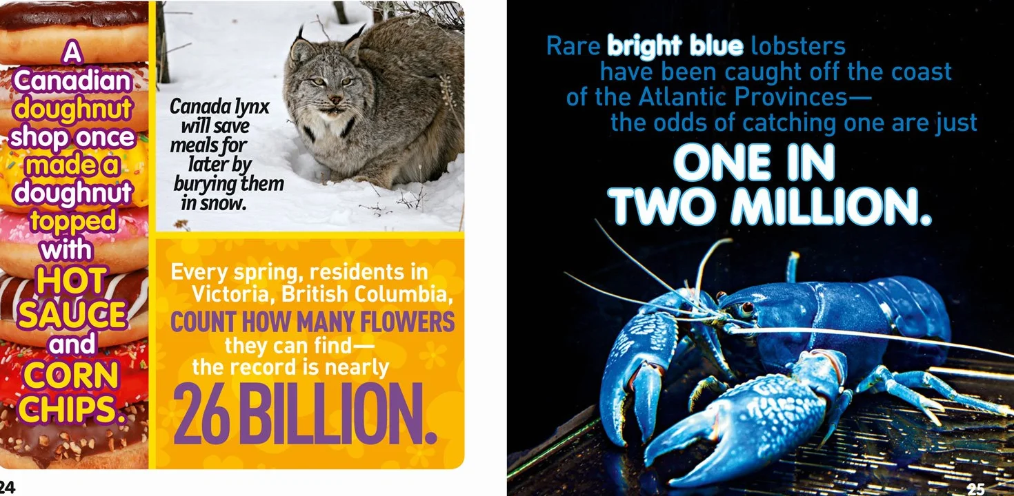 Weird But True Canada: 300 Outrageous Facts About the True North