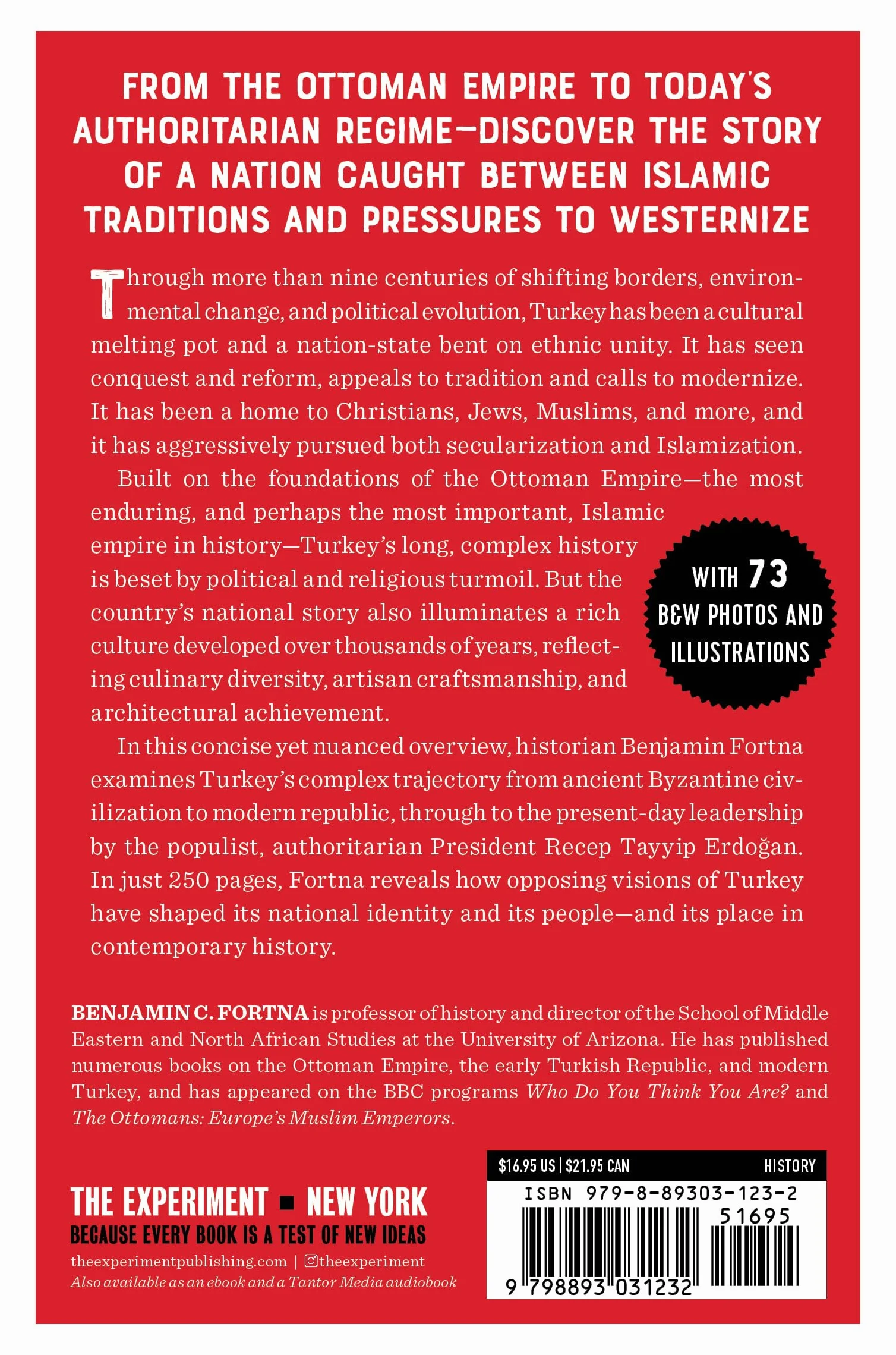 The Shortest History of Turkey: From the Ottoman Empire to the Turkish Republic