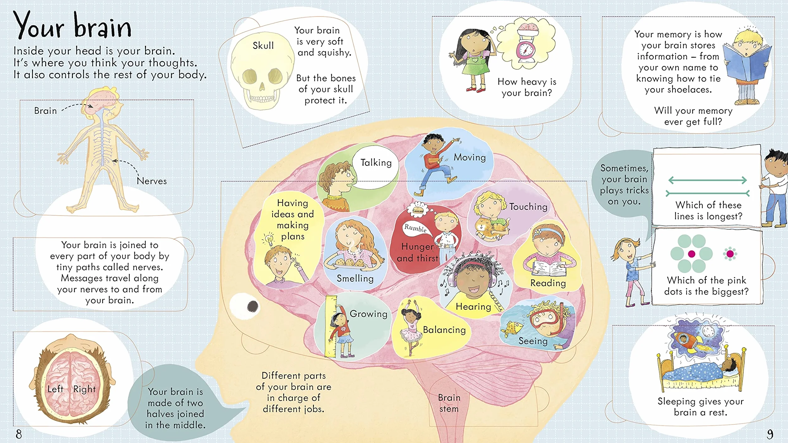 Look Inside Your Body (Look Inside Board Books): 1