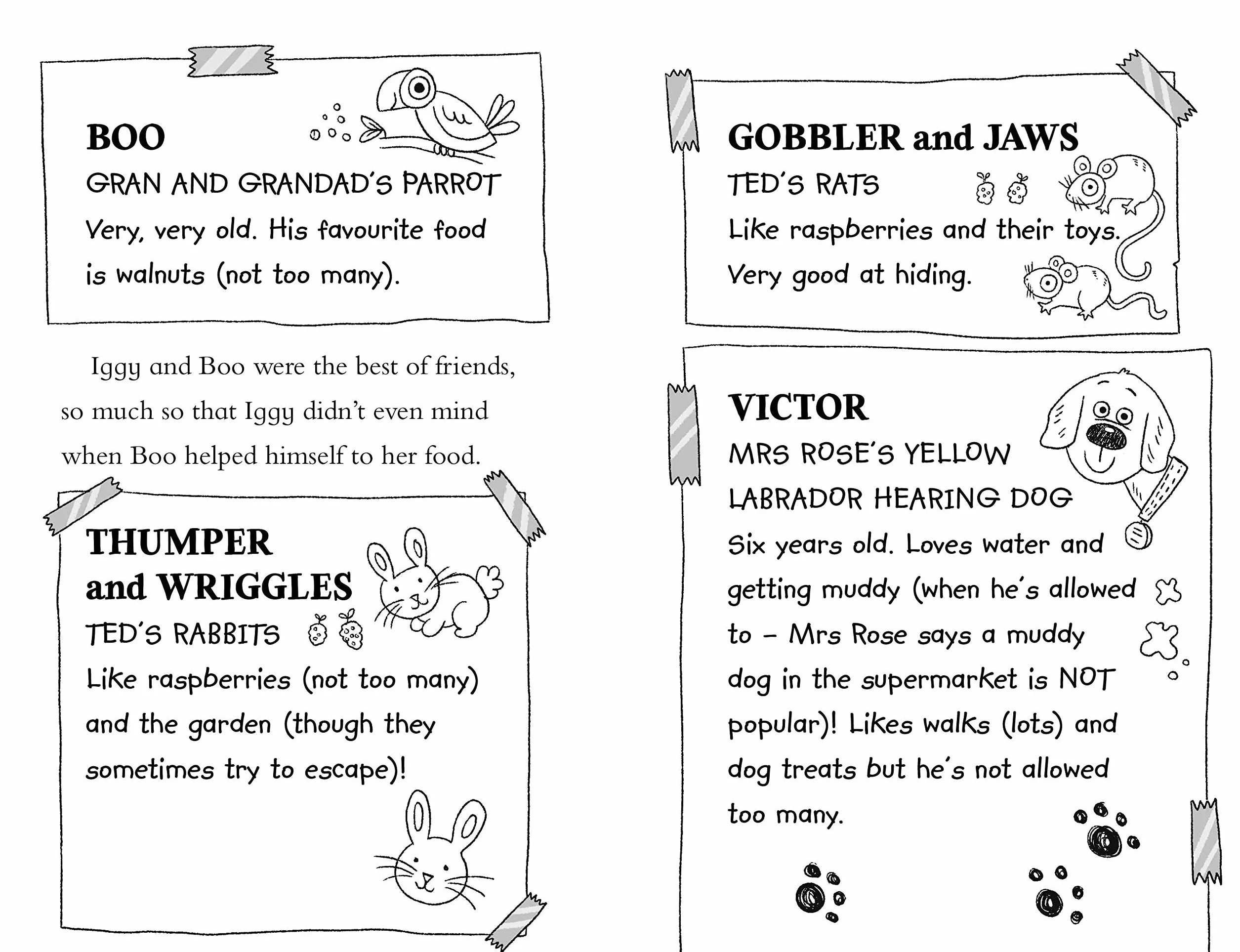 Lizzie and Lucky: The Mystery of the Missing Puppies