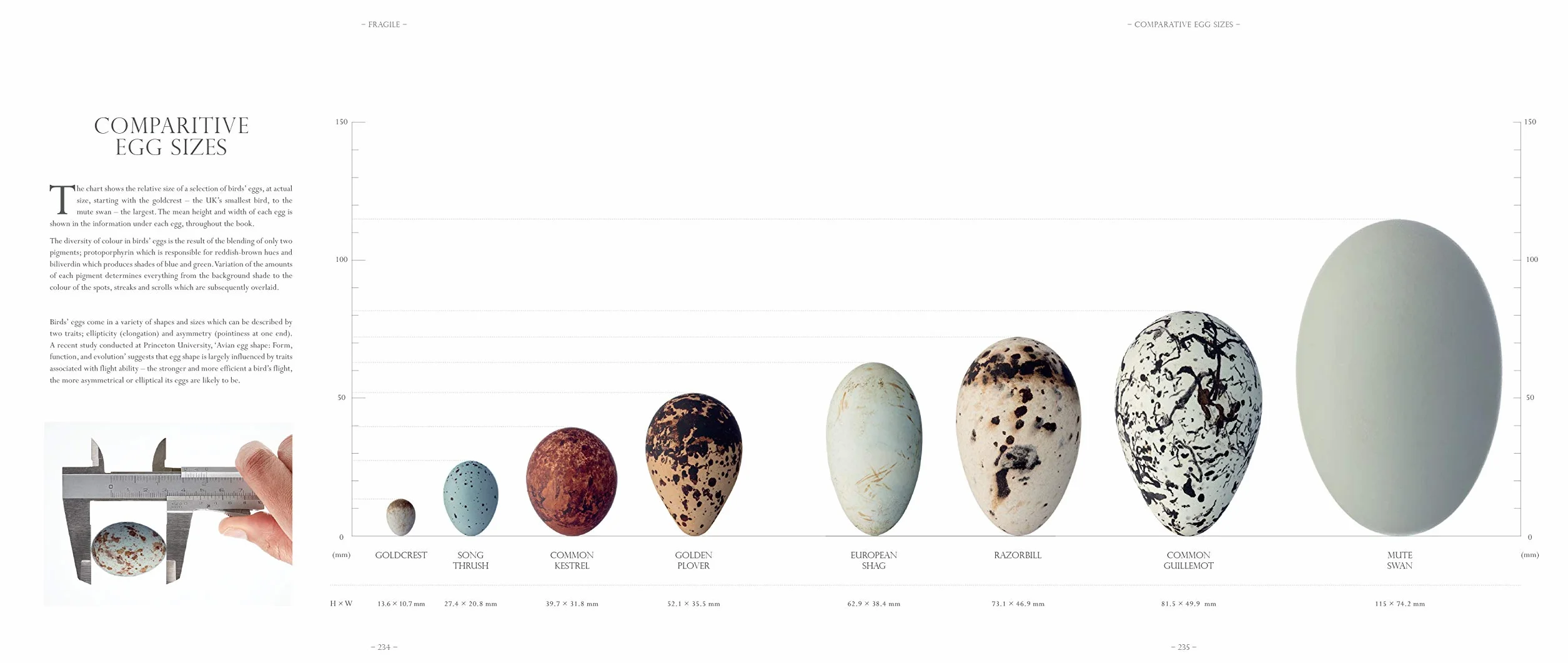 Fragile: Birds, Eggs and Habitats