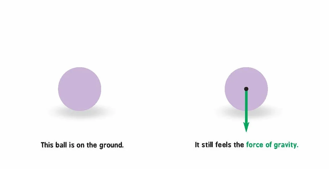 Newtonian Physics for Babies: 1 (Baby University): 0