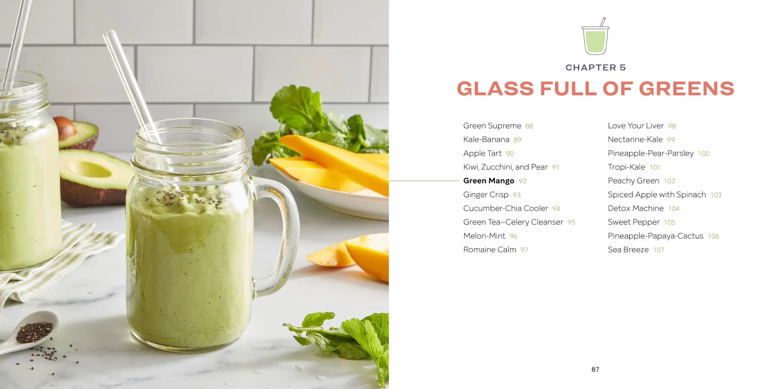 5-Ingredient Smoothie Recipe Book: 100 Nutrient-Packed Smoothies