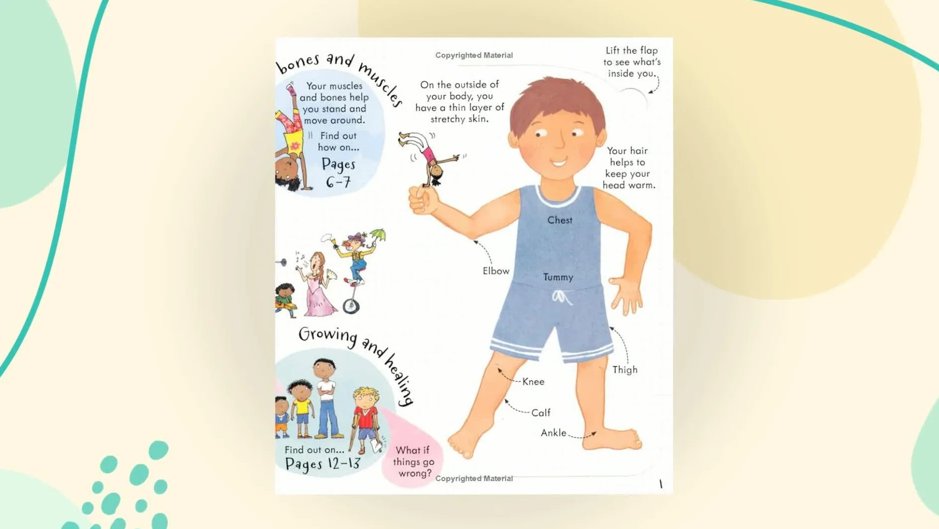 Look Inside Your Body (Look Inside Board Books): 1