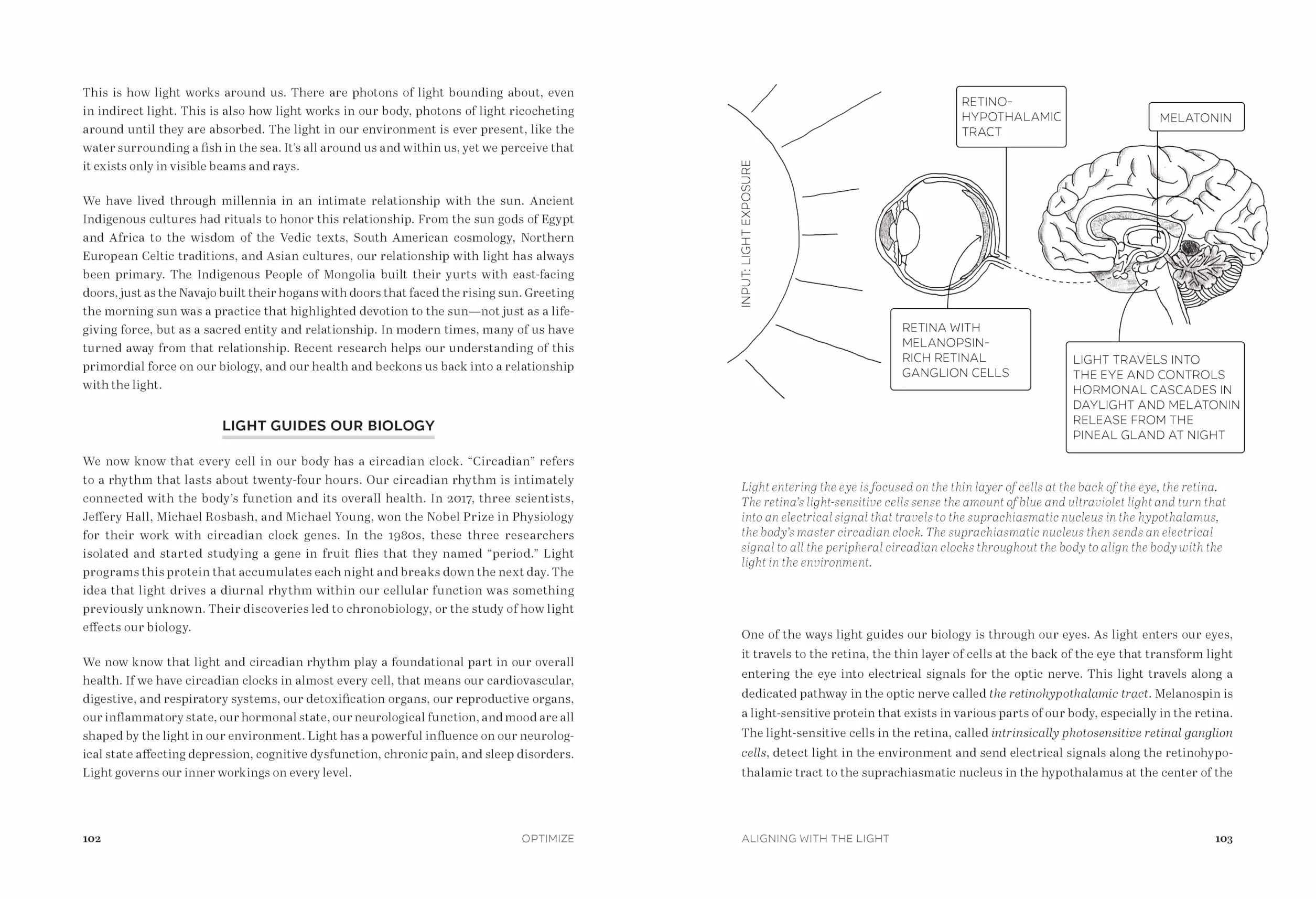 Optimize: A Groundbreaking 7-Step Plan to Health and Longevity Through Quantum Biology