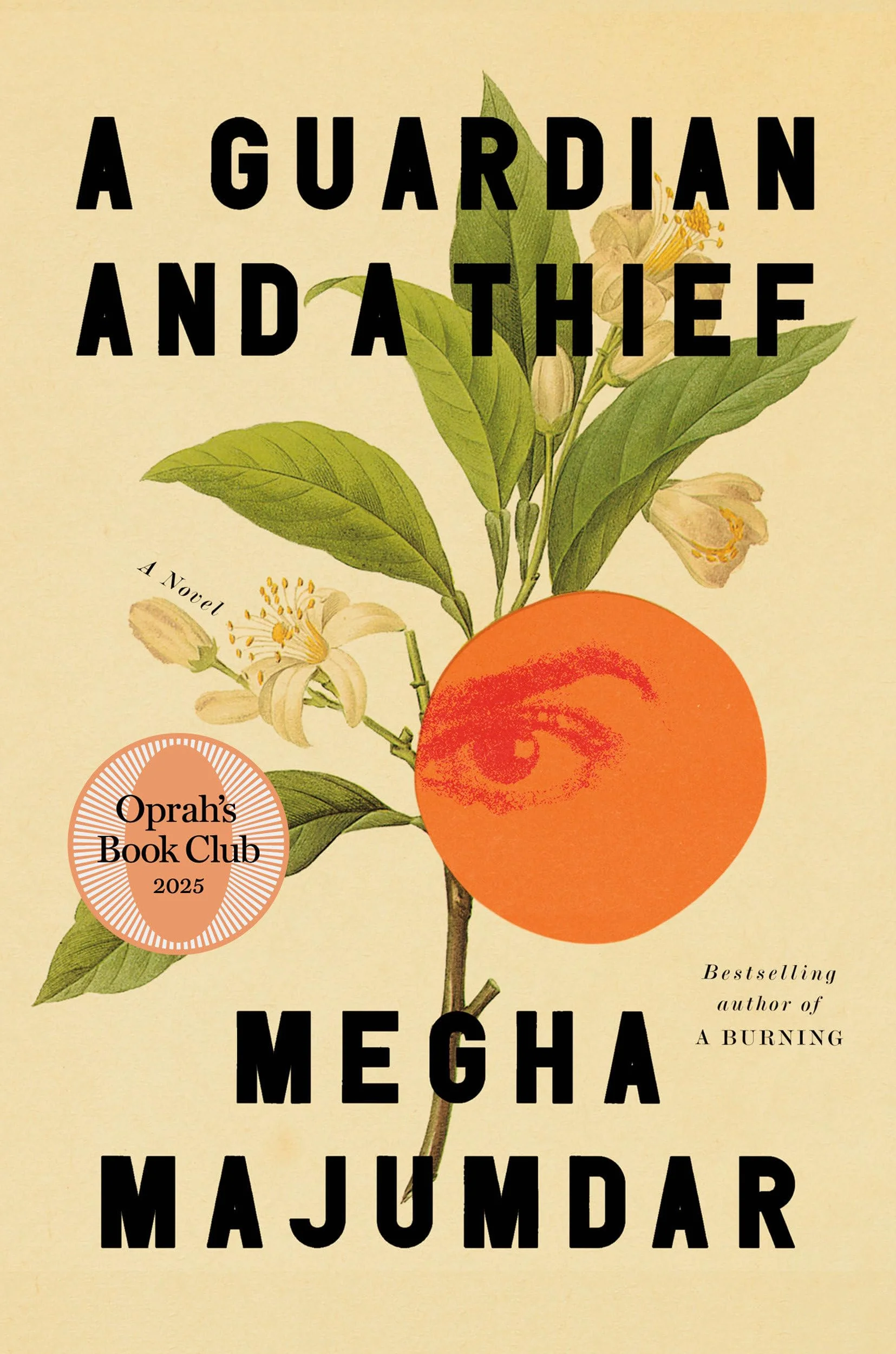 A Guardian and a Thief: A Novel