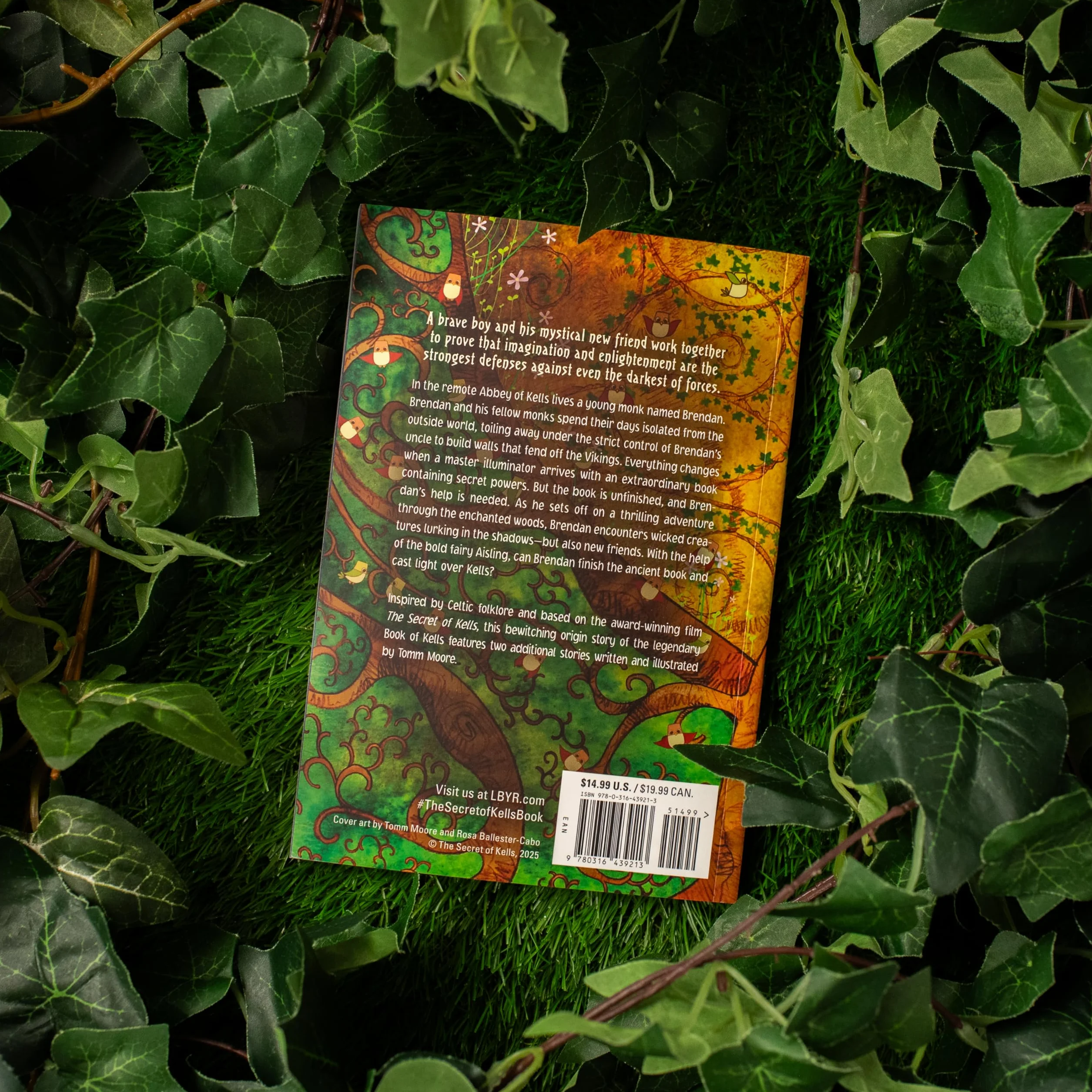 The Secret of Kells: The Graphic Novel