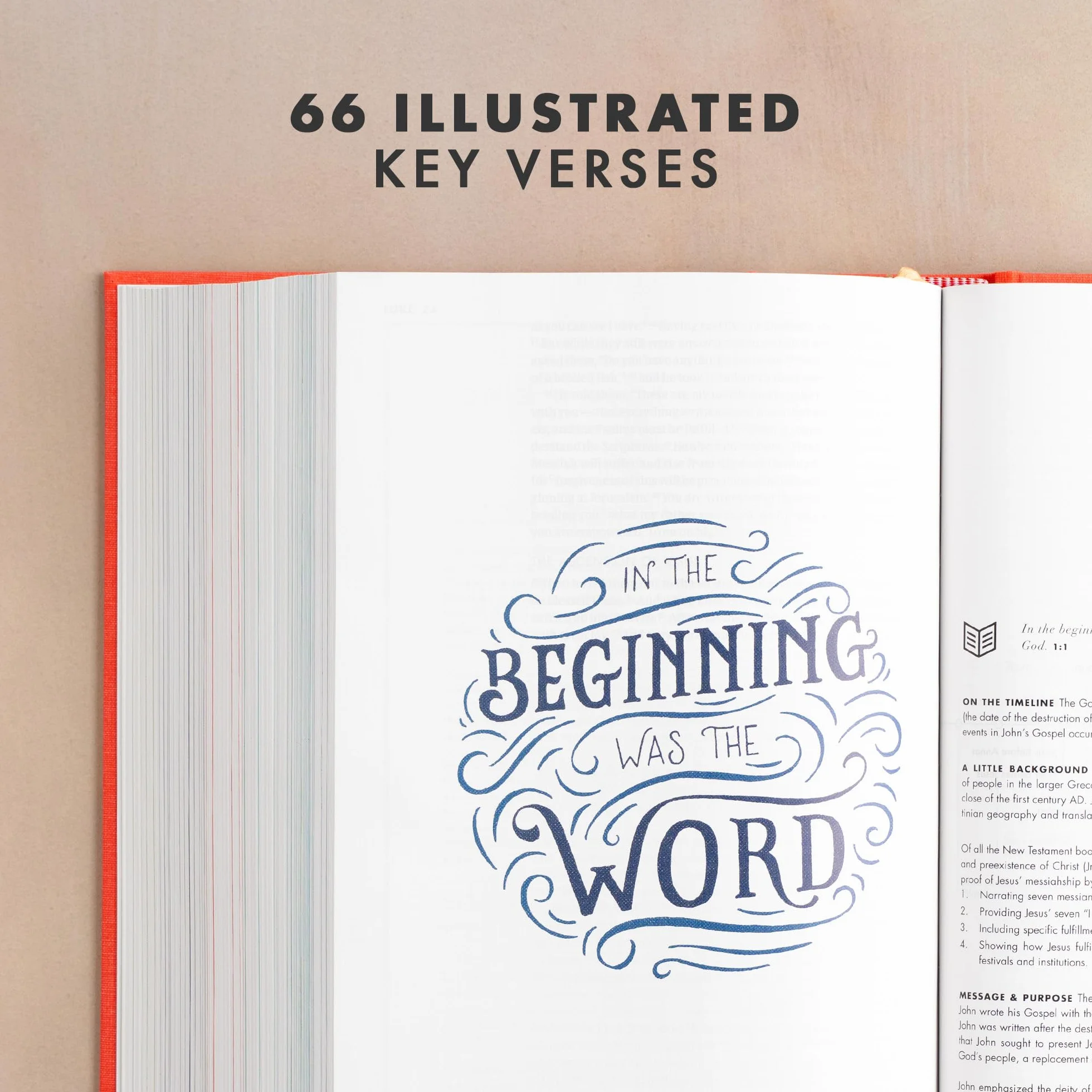 CSB She Reads Truth Bible, Poppy Linen: Notetaking Space, Devotionals, Reading Plans, Easy-To-Read Font