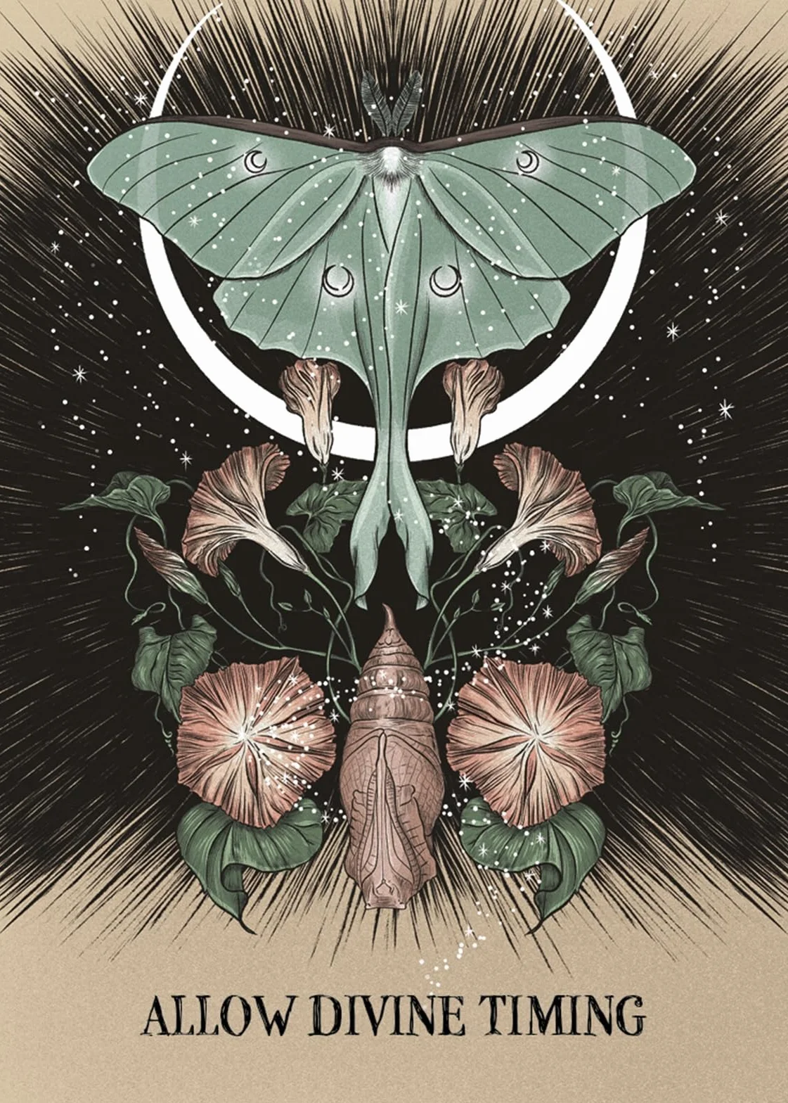 Fated: A Pocket Love Oracle: A 13-Card Deck and Guidebook