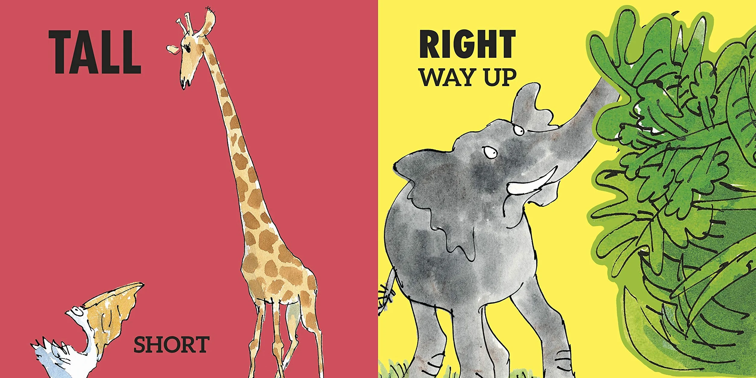 Roald Dahl's Opposites Lift-the-Flap Book