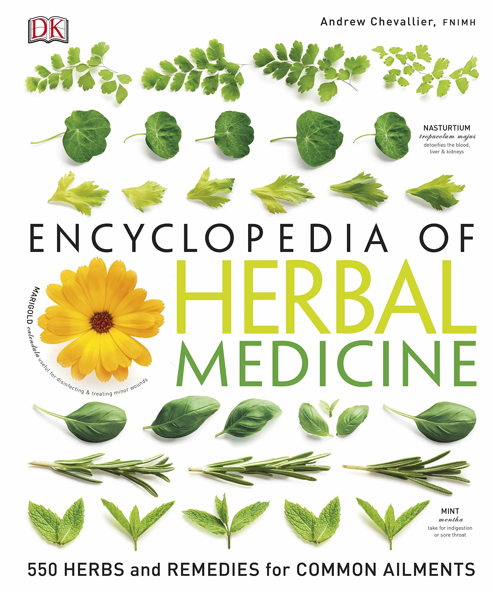 Encyclopedia Of Herbal Medicine: 550 Herbs and Remedies for Common Ailments