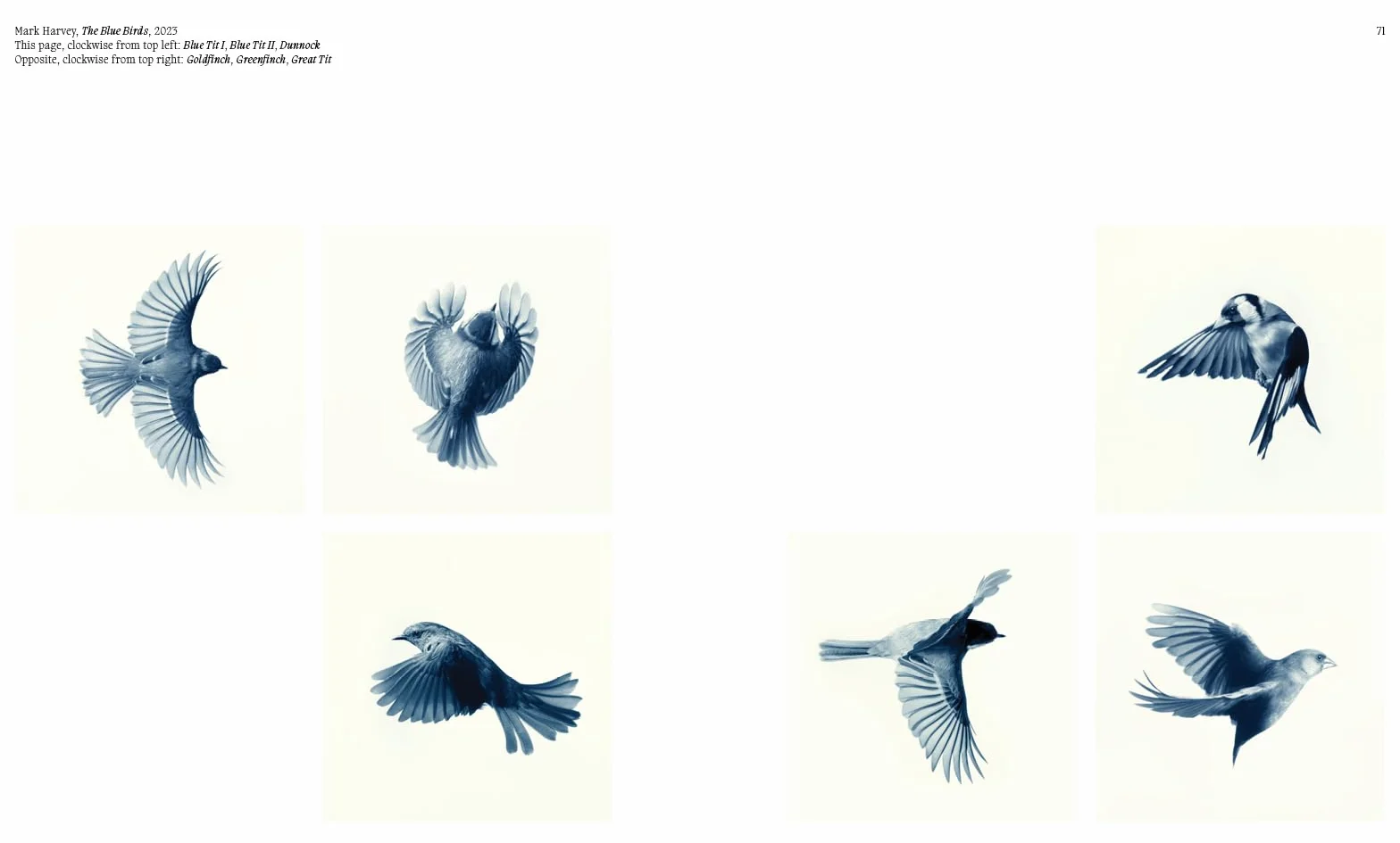Aviary The Bird in Contemporary Photography /anglais