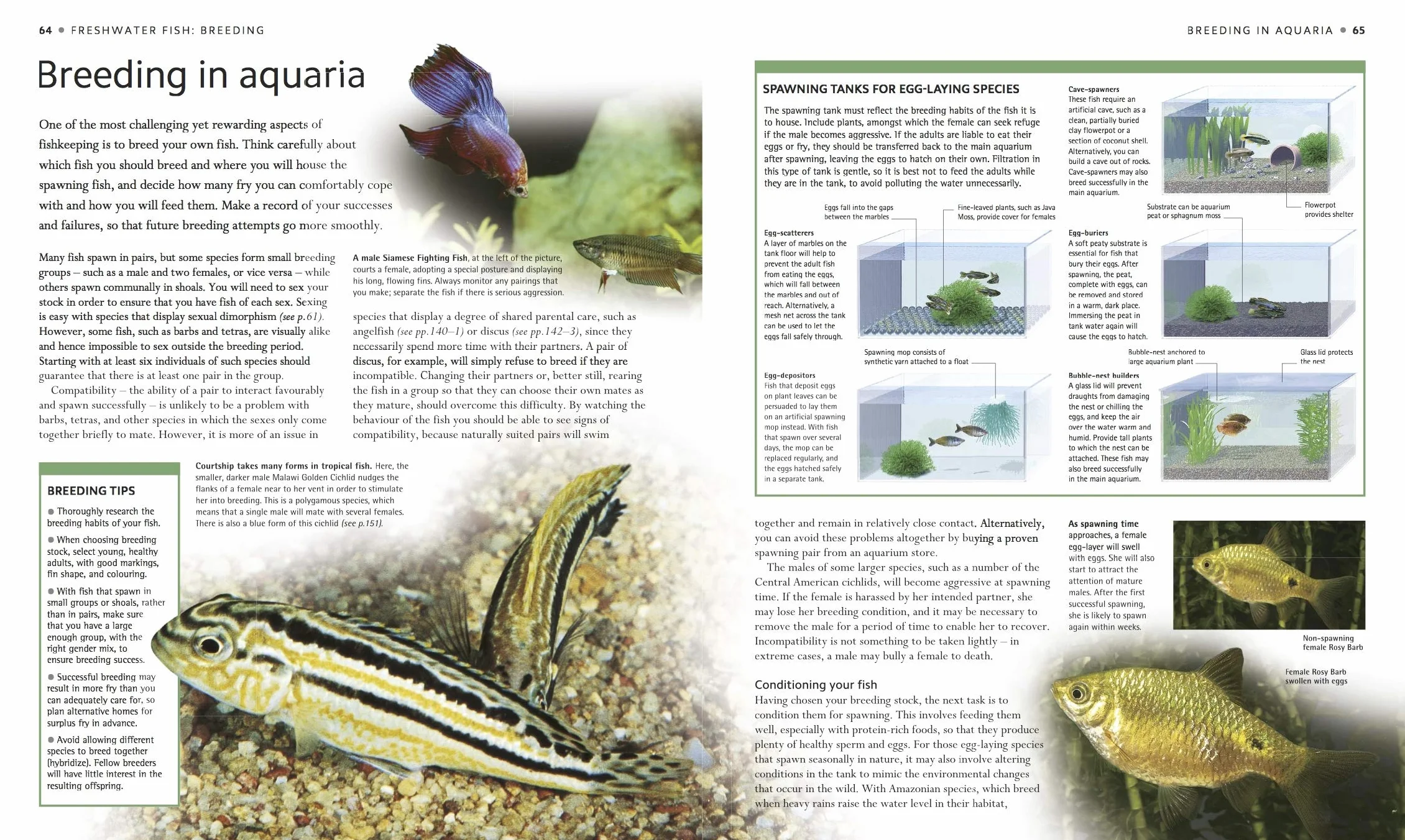 Encyclopedia of Aquarium and Pond Fish