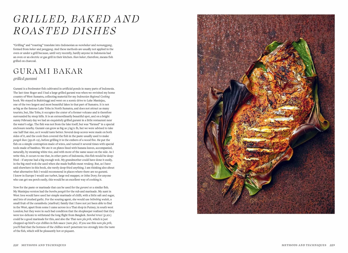Sri Owen Indonesian Food: The spectacular heritage cookbook from beloved food writer Sri Owen, updated and revised with new recipes