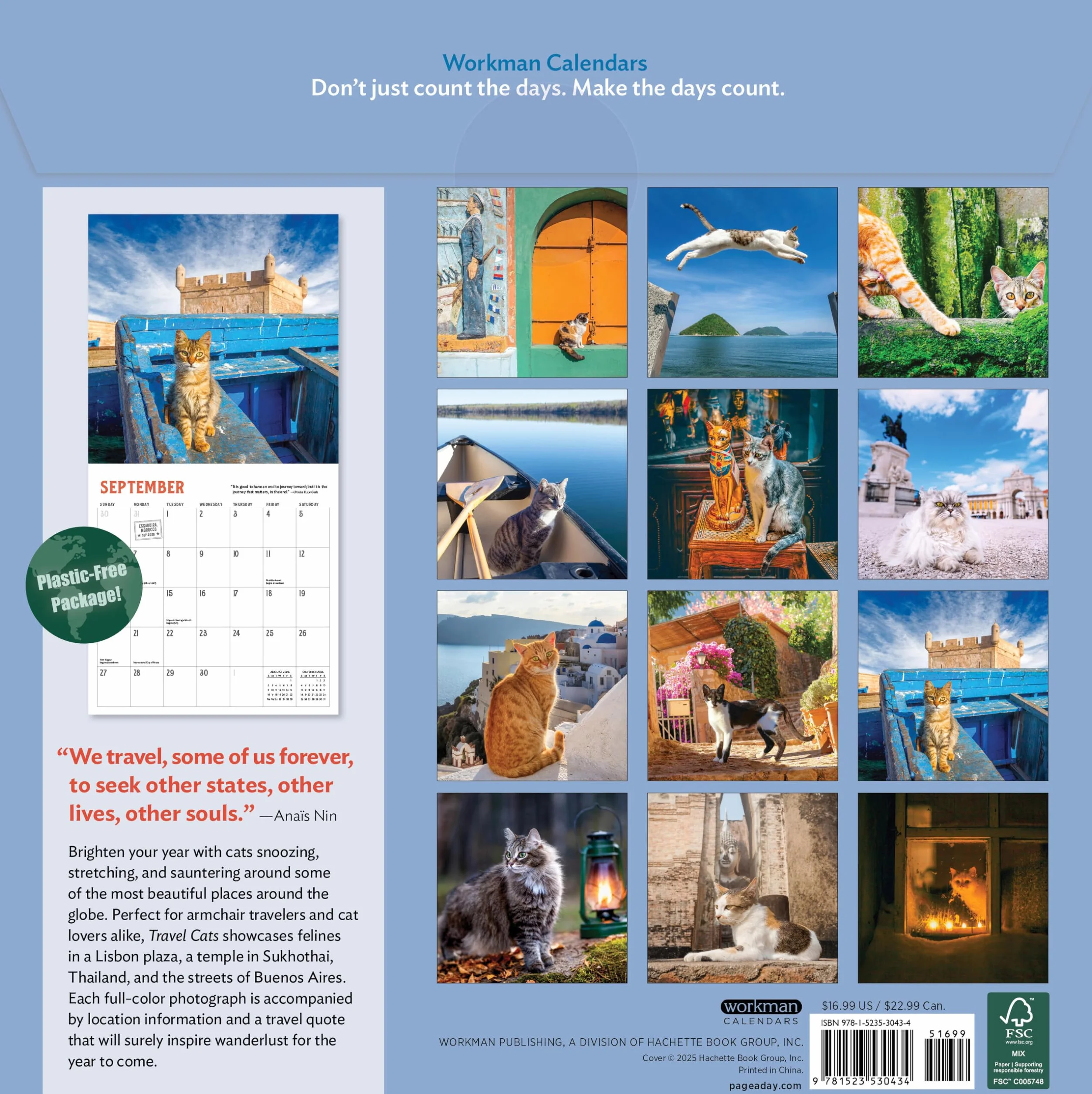 Travel Cats Wall Calendar 2026