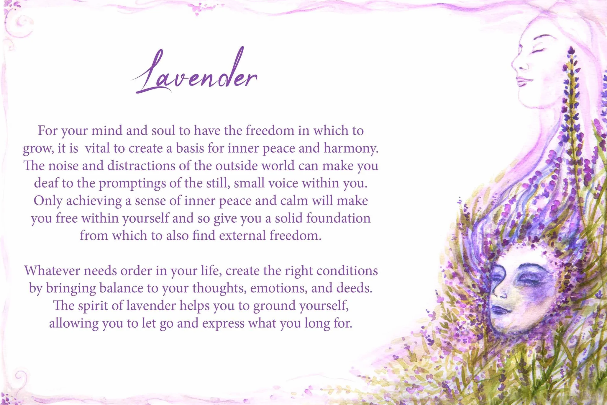 Essential Oils Oracle Cards: Wisdom from 40 Healing Plants