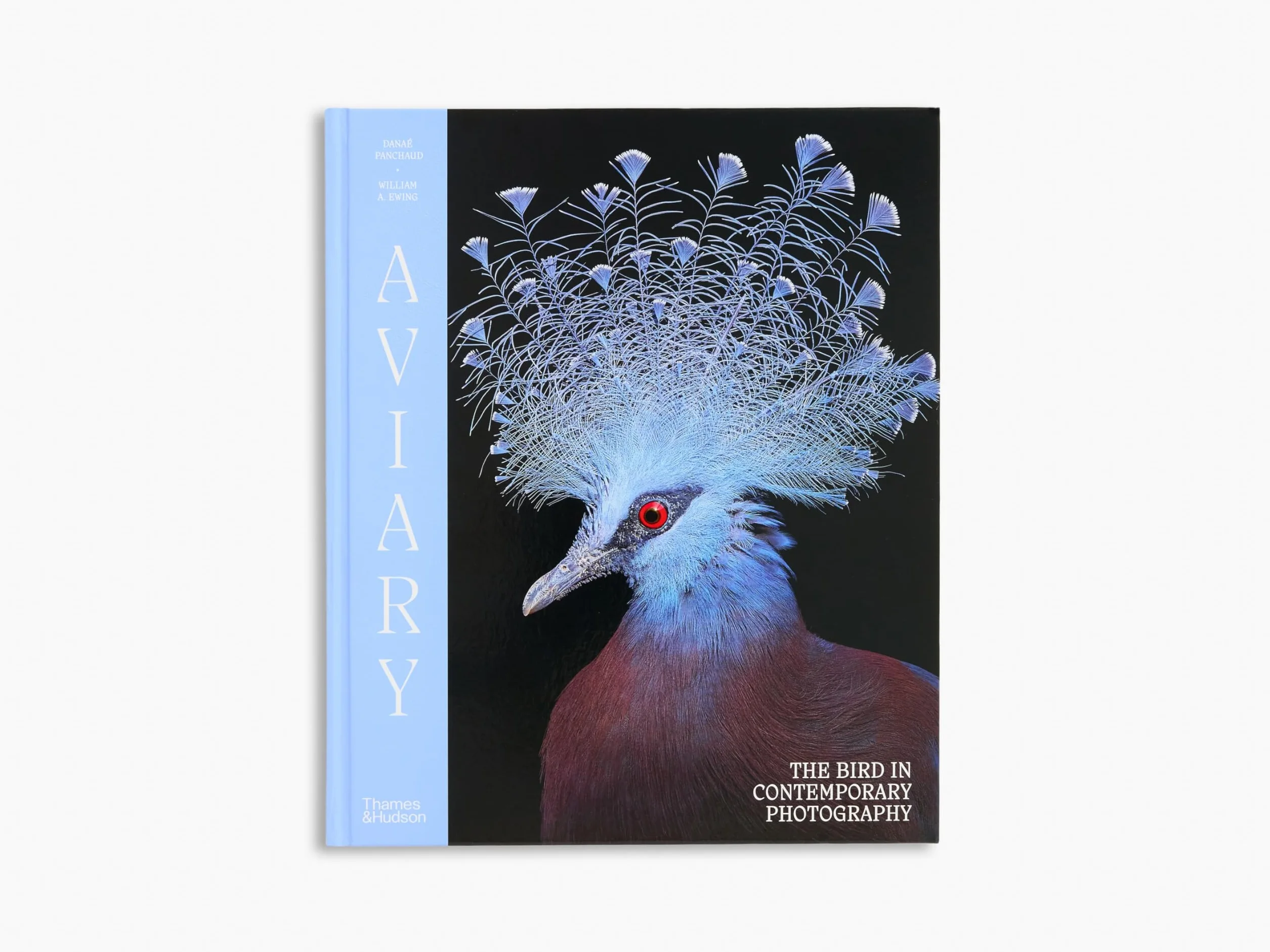 Aviary The Bird in Contemporary Photography /anglais
