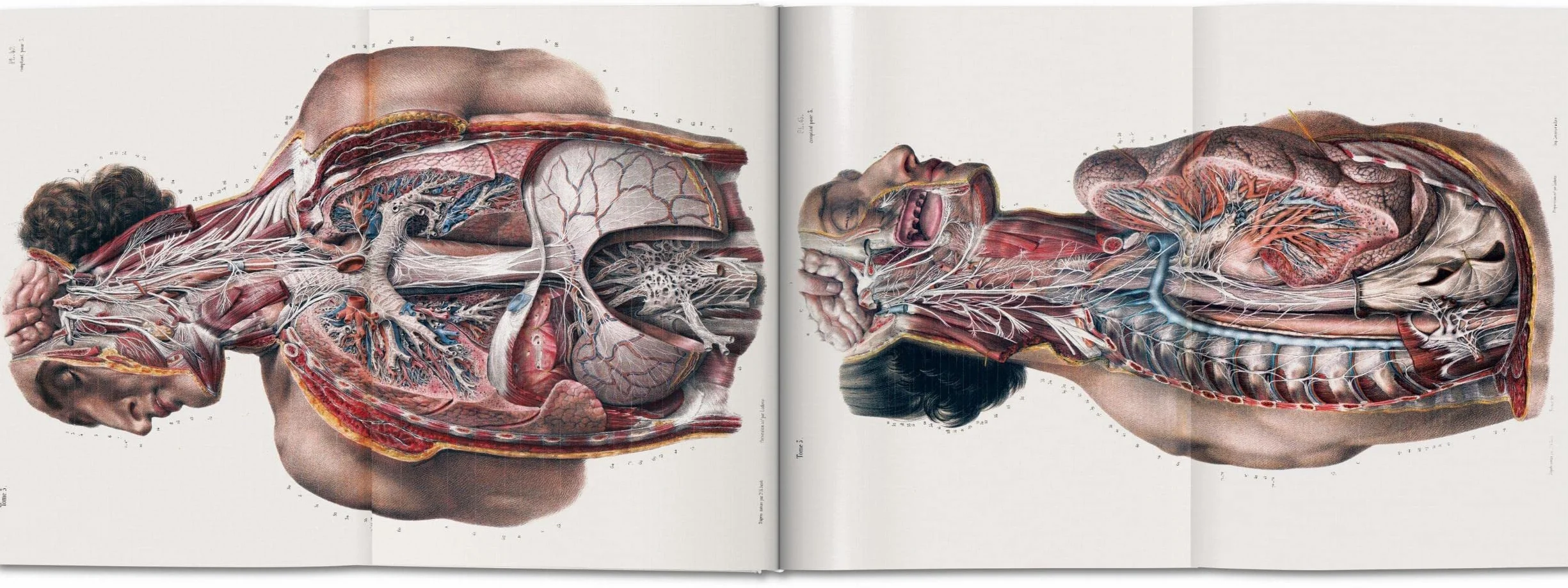 Bourgery. Atlas of Human Anatomy and Surgery
