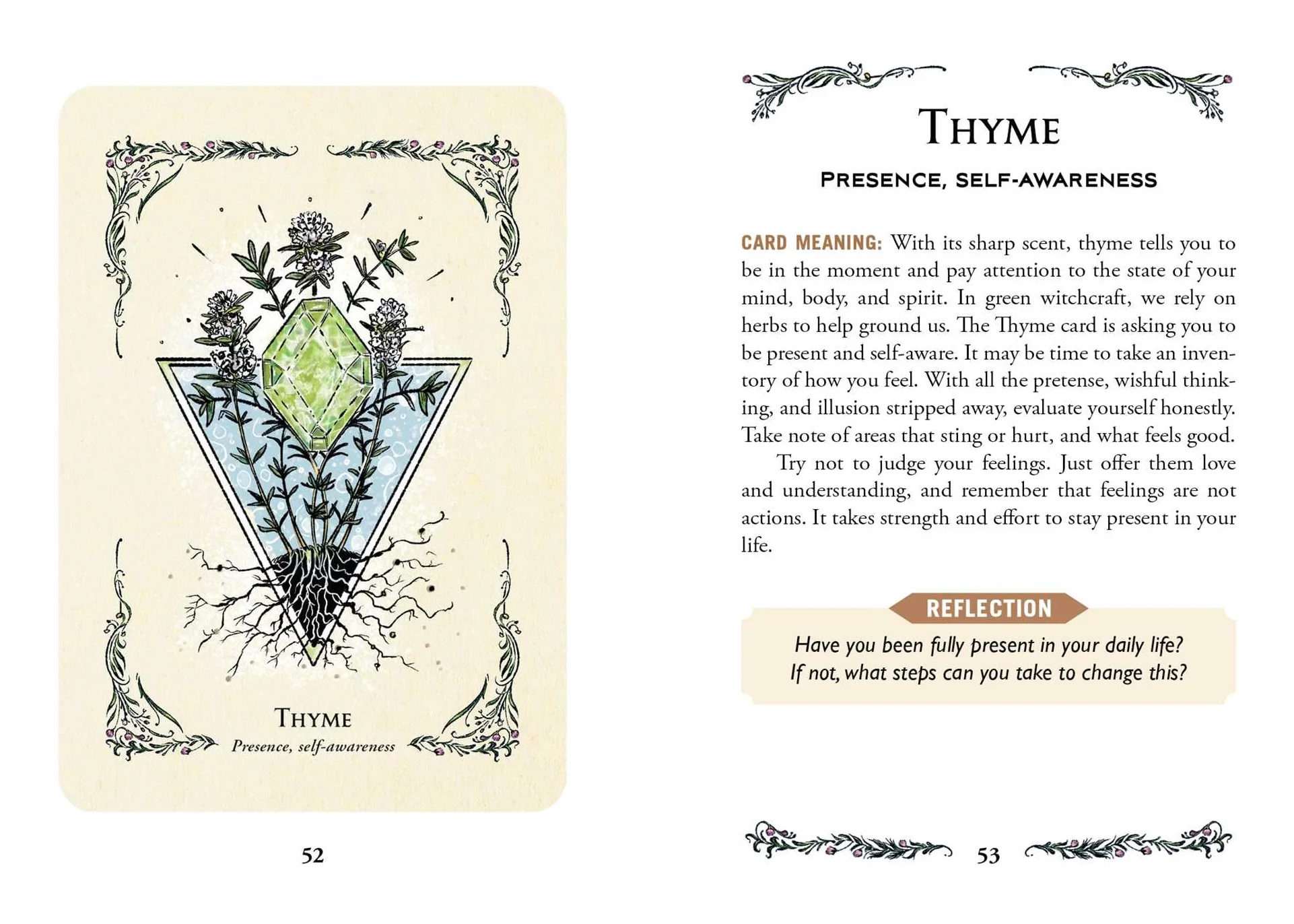 The Green Witch's Oracle Deck: Embrace the Wisdom and Insight of Natural Magic
