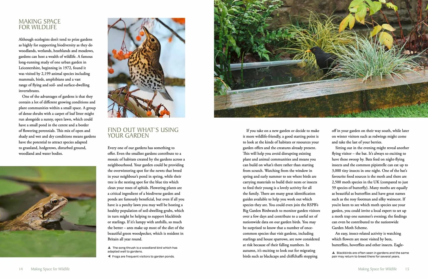The National Trust Book of Nature-Friendly Gardening: An inspiring and practical guide to greener gardening