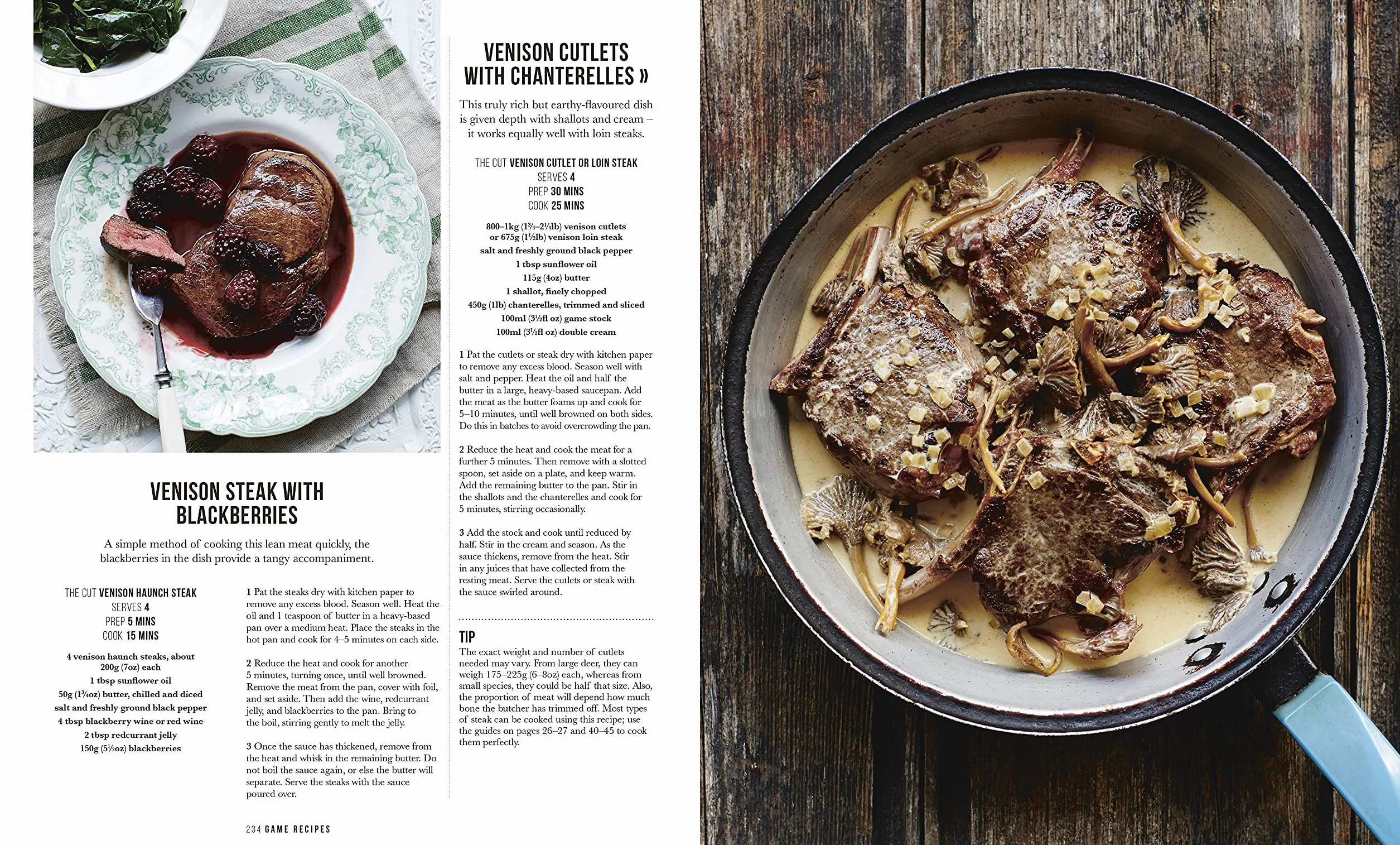 The Meat Cookbook: Know the Cuts, Master the Skills, over 250 Recipes