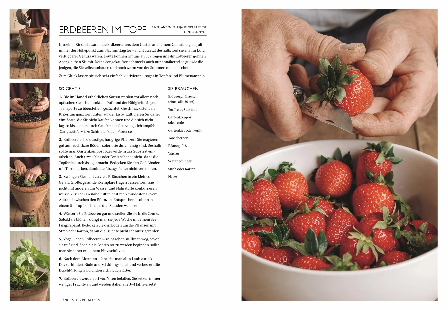 Das Gartenbuch: Umfassendes Expertenwissen für einen wunderschönen Zier- und Nutzgarten mit saisonalem Obst und Gemüse von Bestsellerautor Monty Don