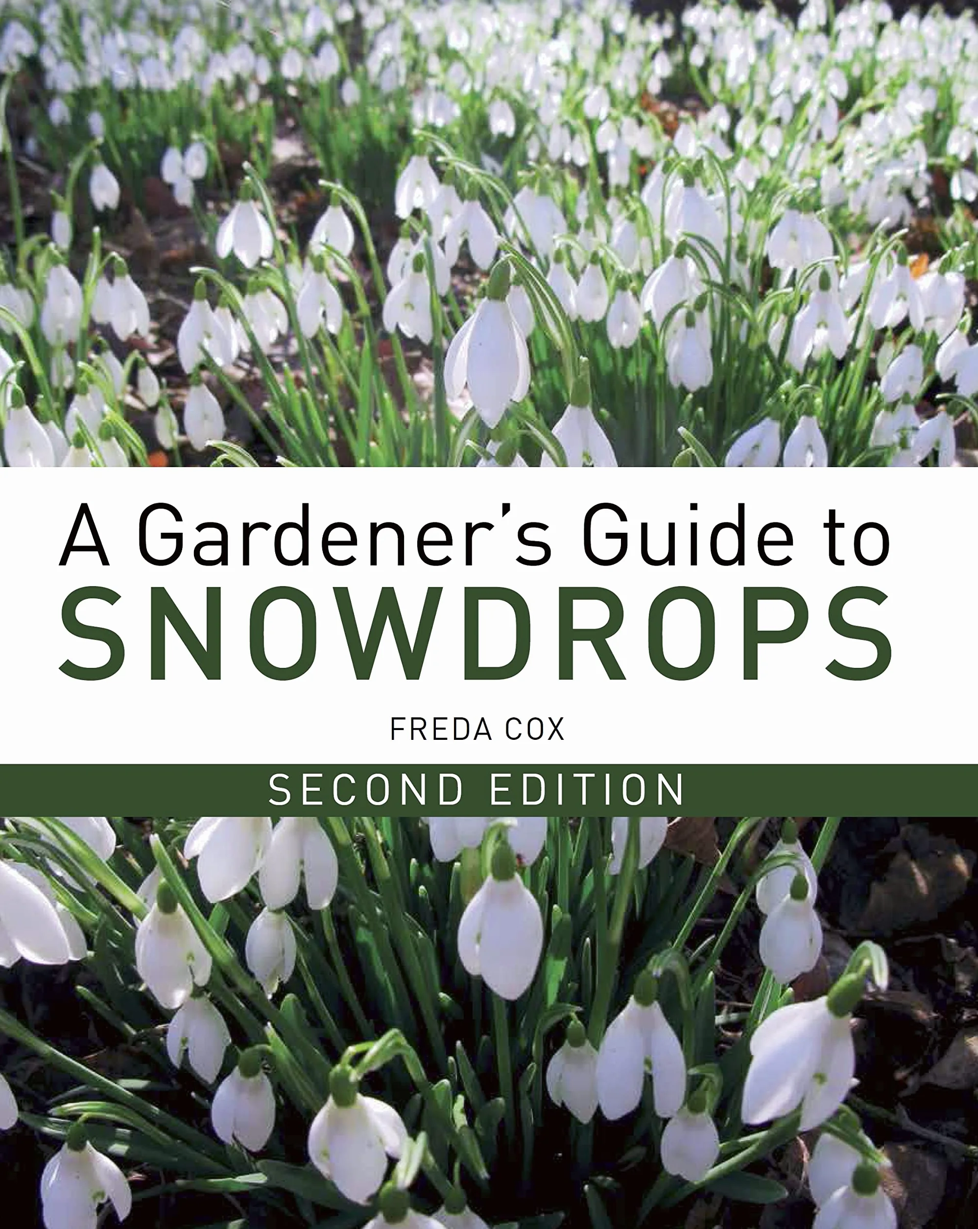 A Gardener's Guide to Snowdrops: Second Edition