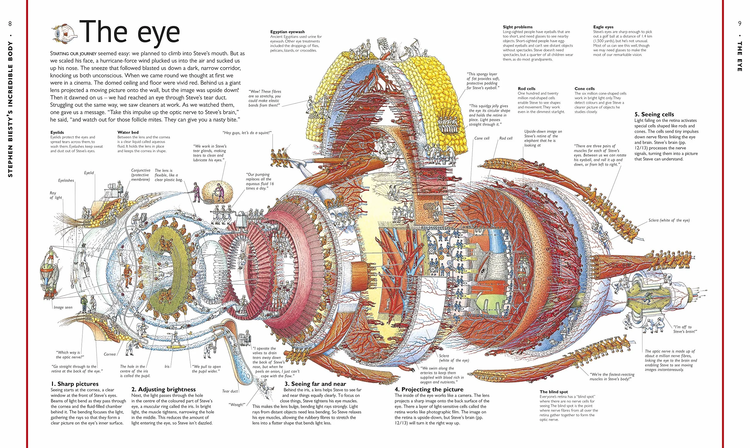 Stephen Biesty's Incredible Body Cross-Sections