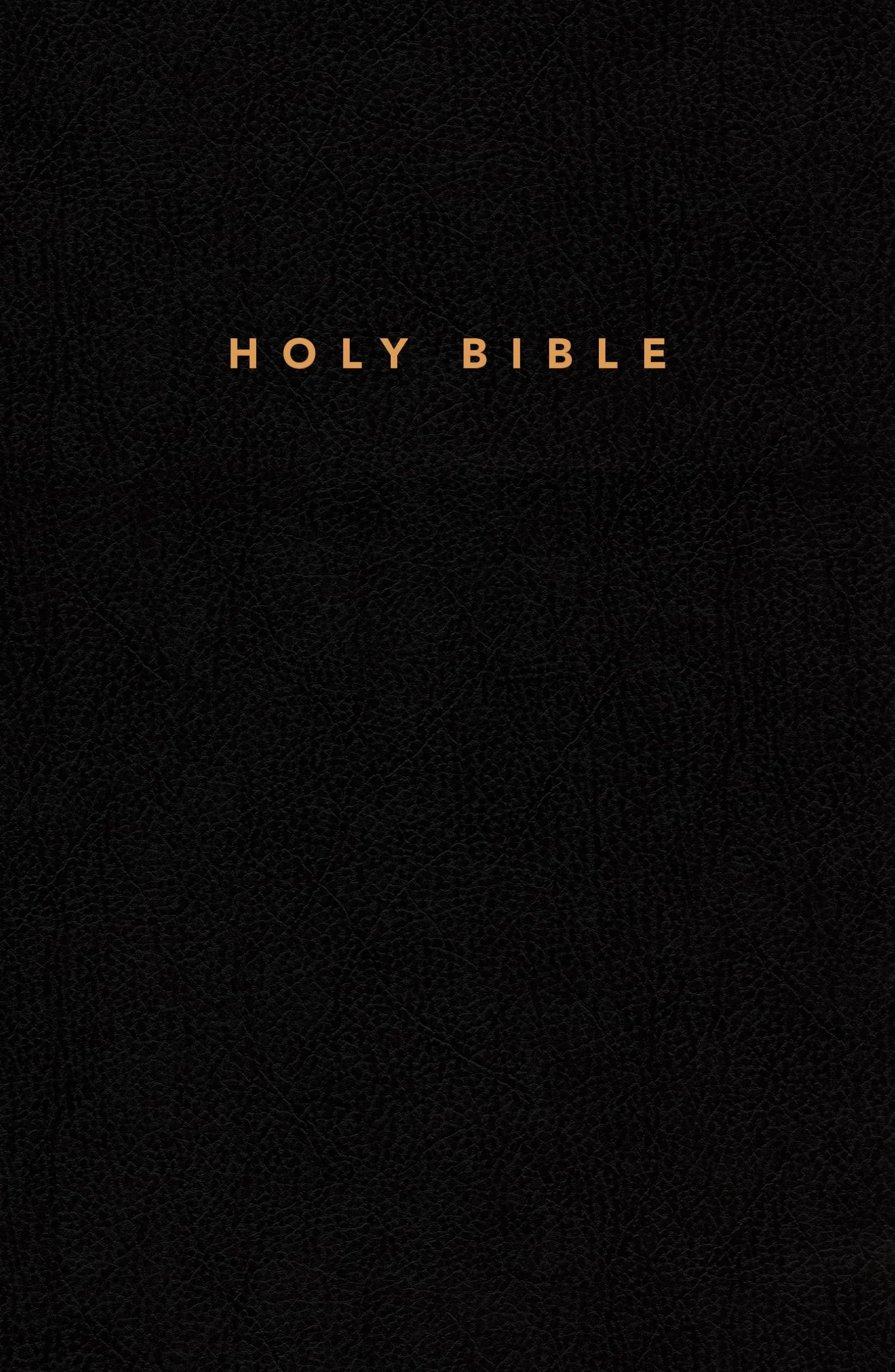 Holy Bible : New Living Translation
