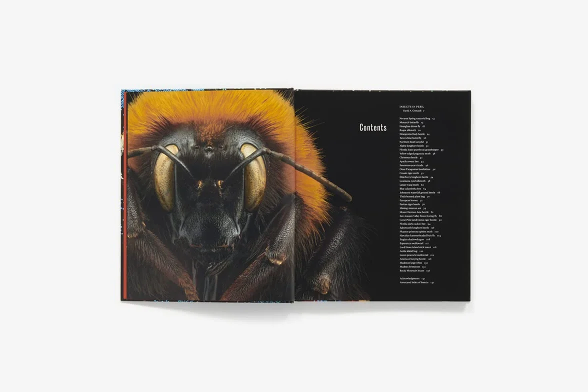 Extint and endangered: Insects in Peril