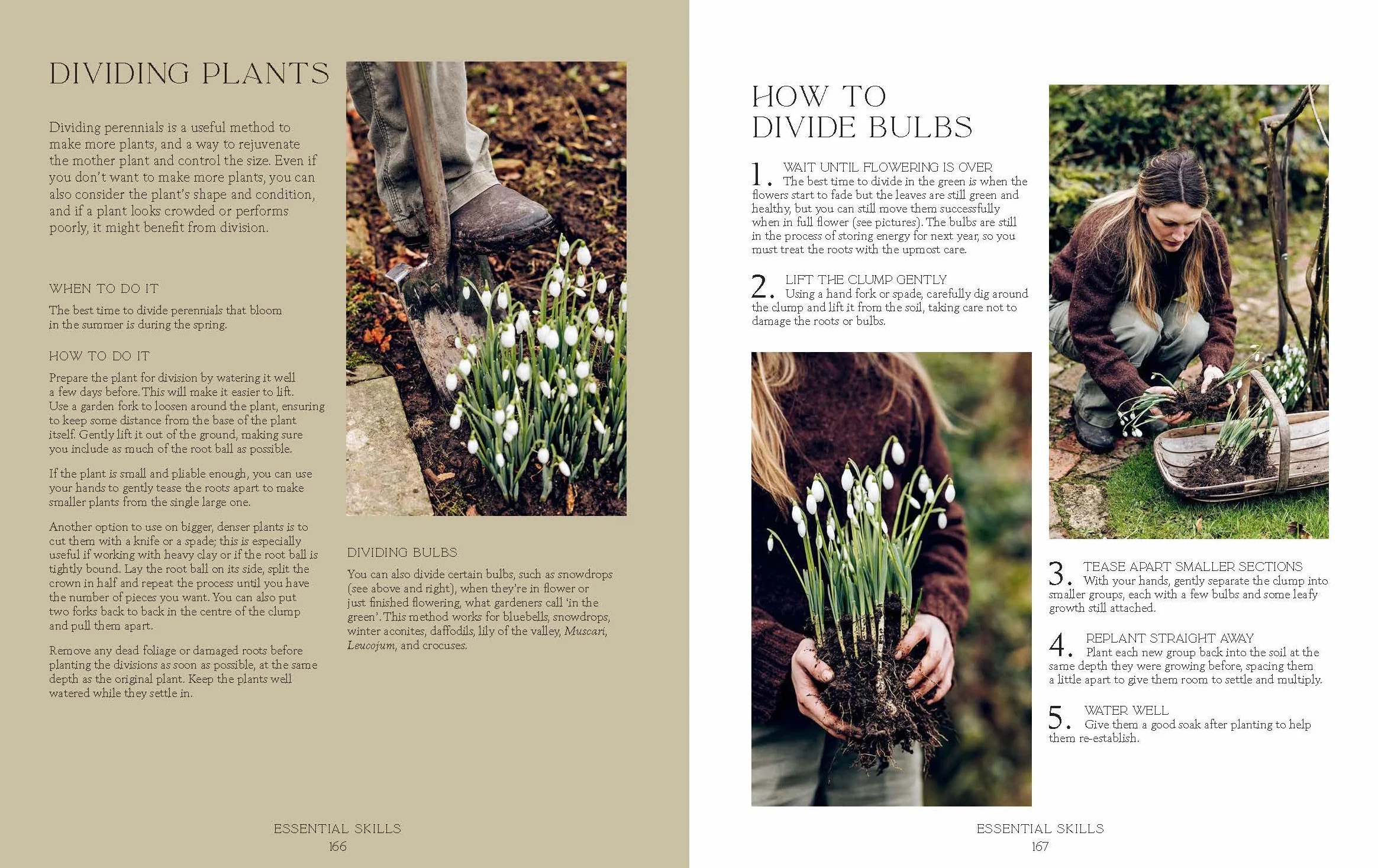How Does Your Garden Grow?: The Elements of Planning, Growing & Caring for a Garden