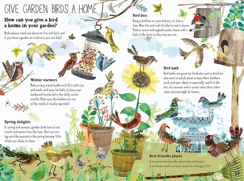 The Big Book of Birds: 0