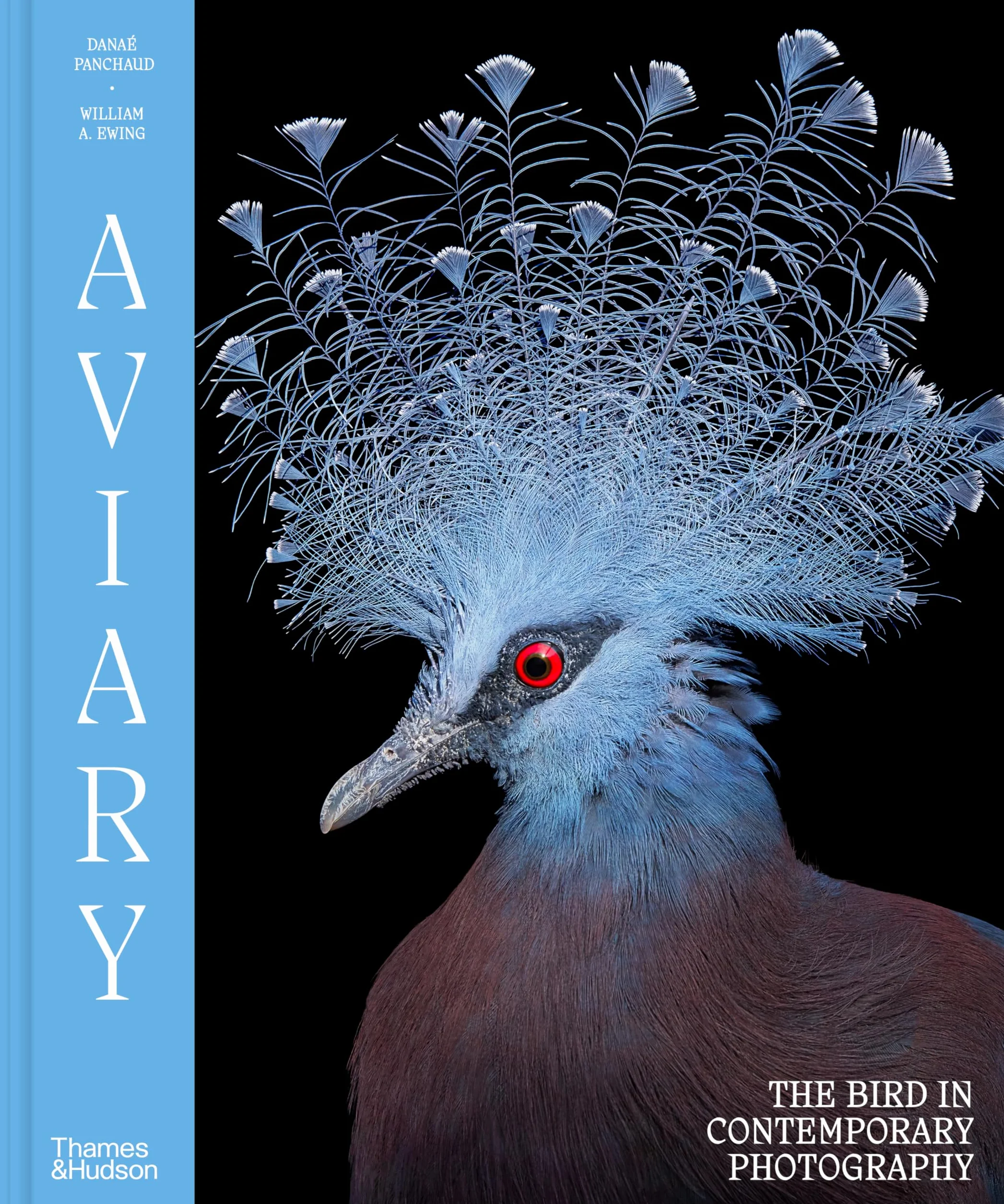 Aviary The Bird in Contemporary Photography /anglais