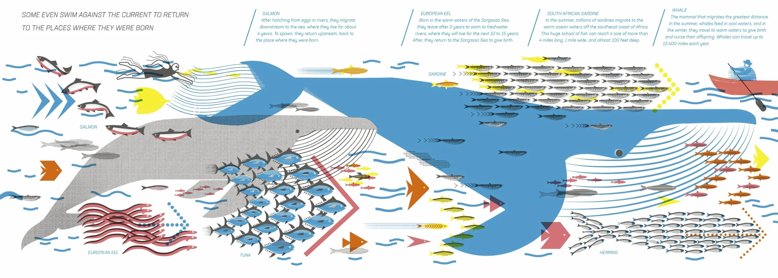 On the Move: Things in Motion on Earth and Beyond
